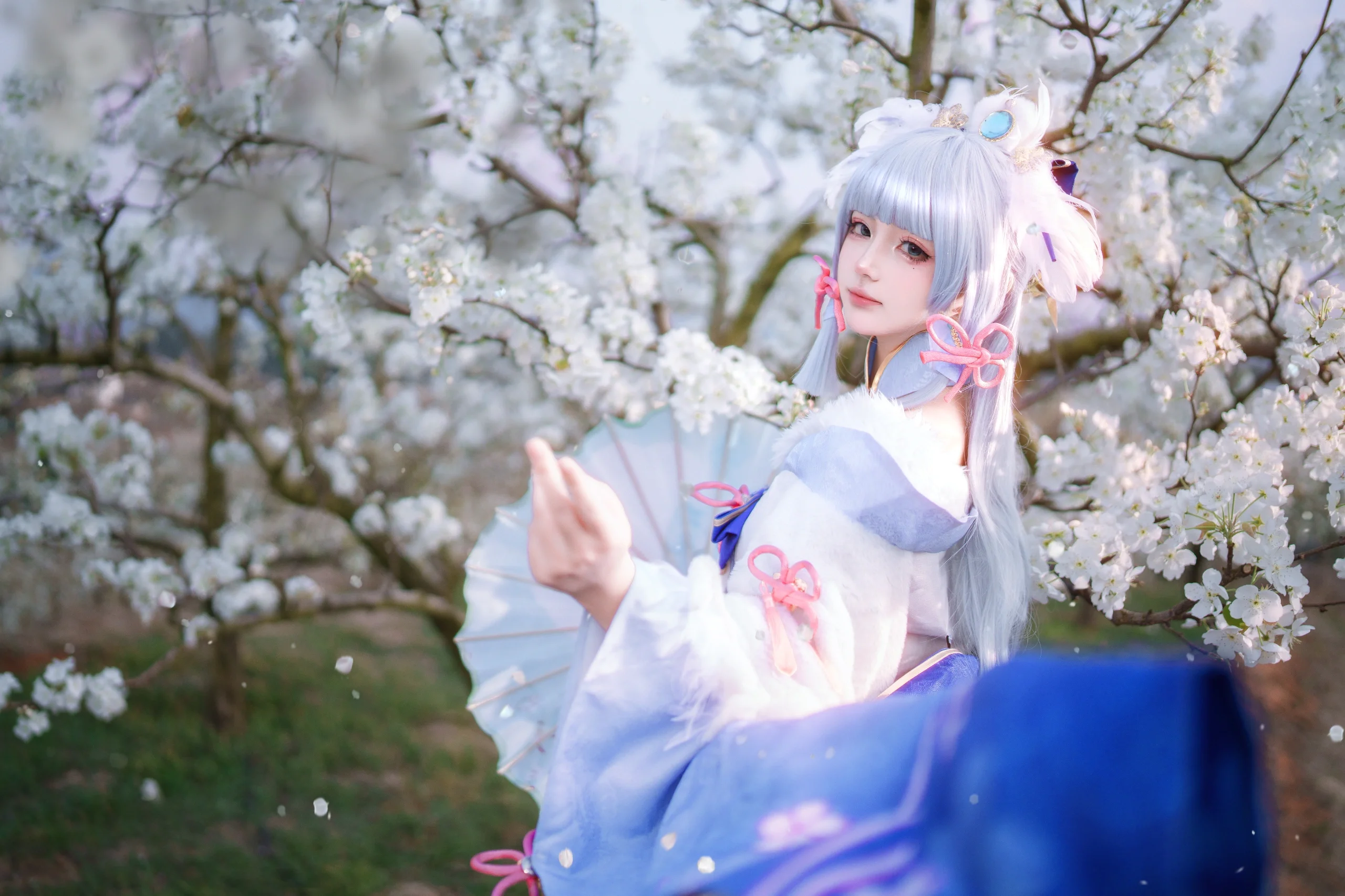 【神里绫华cos】花枝与清风，定格春日蓝白 - 第 4 张
