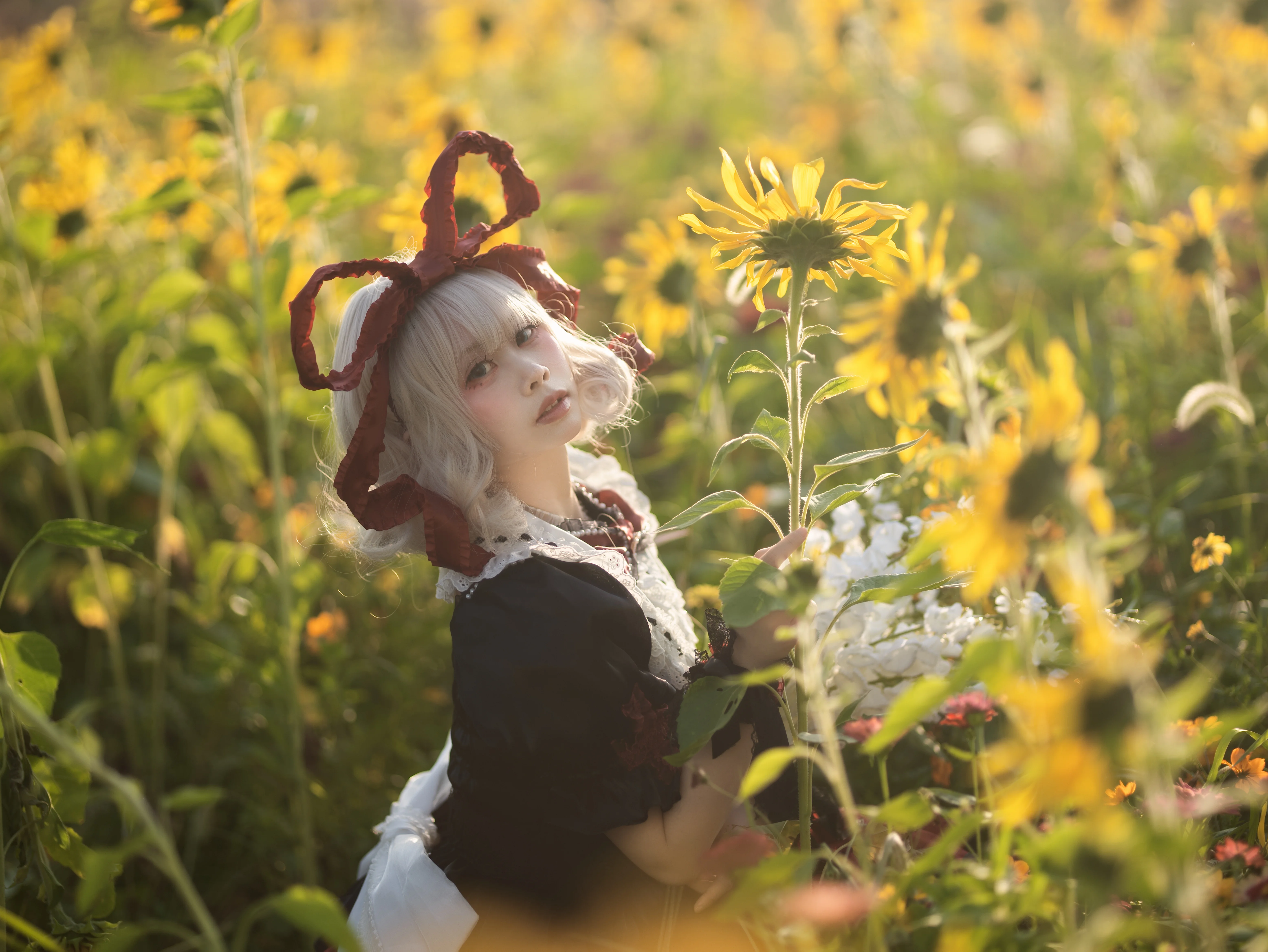 【梅蒂欣cos】东方Project的小小甜蜜毒药，藏在向日葵海里 - 第 4 张