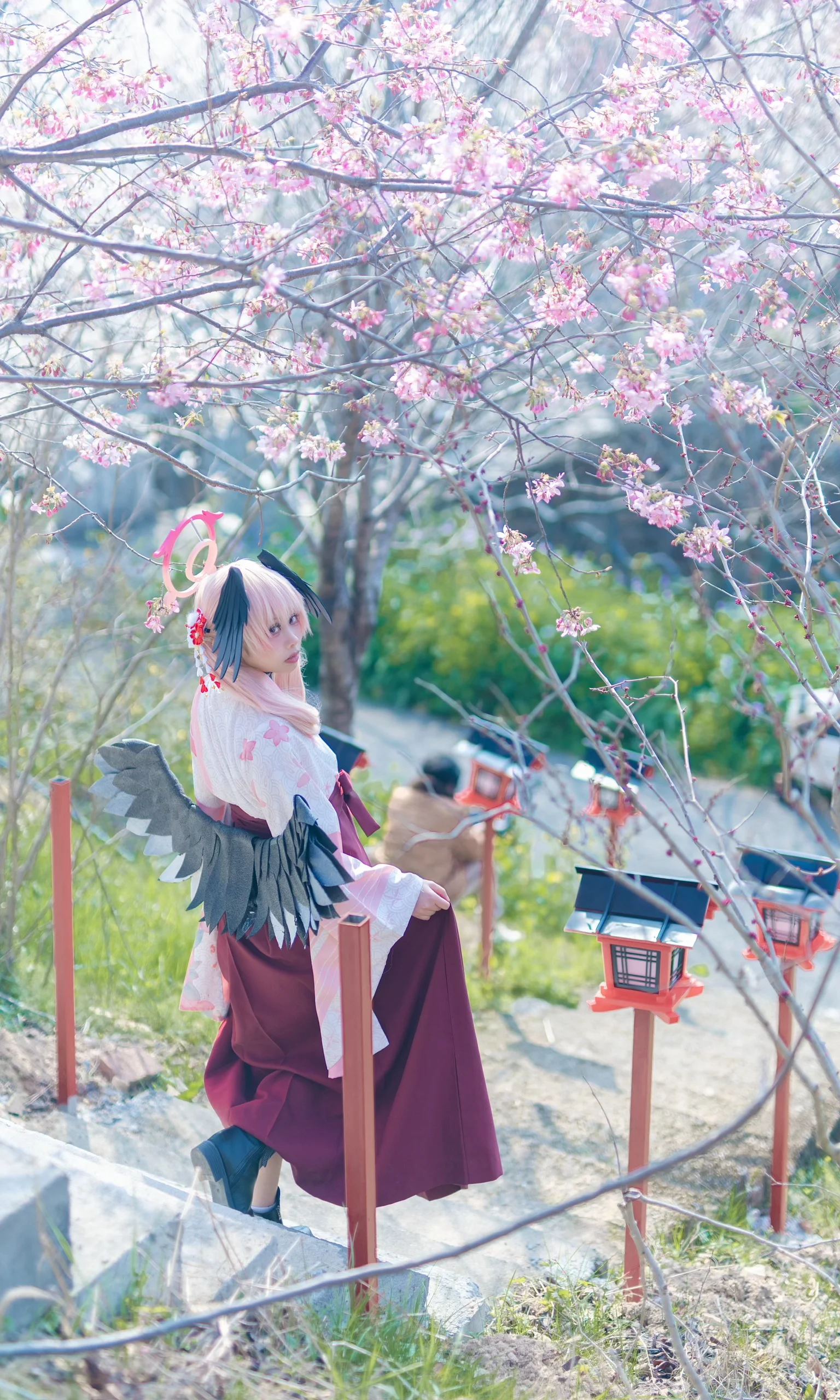 【下江小春cos】把樱花留到此刻，春日公园的回眸 - 第 6 张