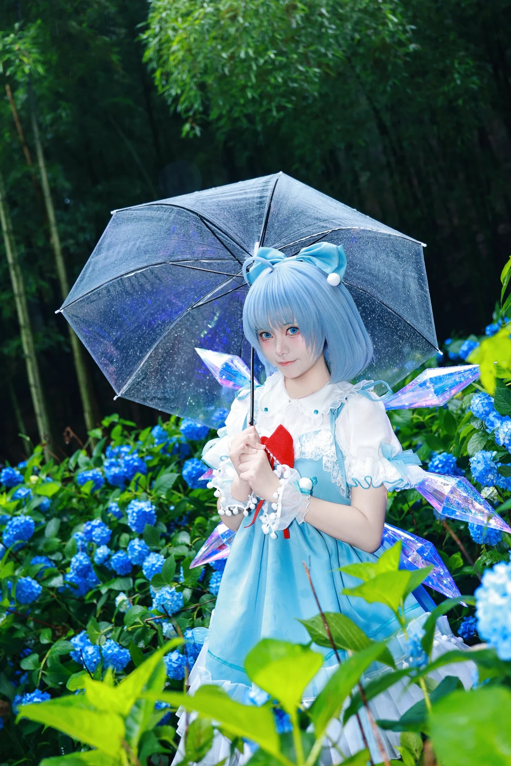 【琪露诺cos】雨中绣球花丛里的冰之妖精