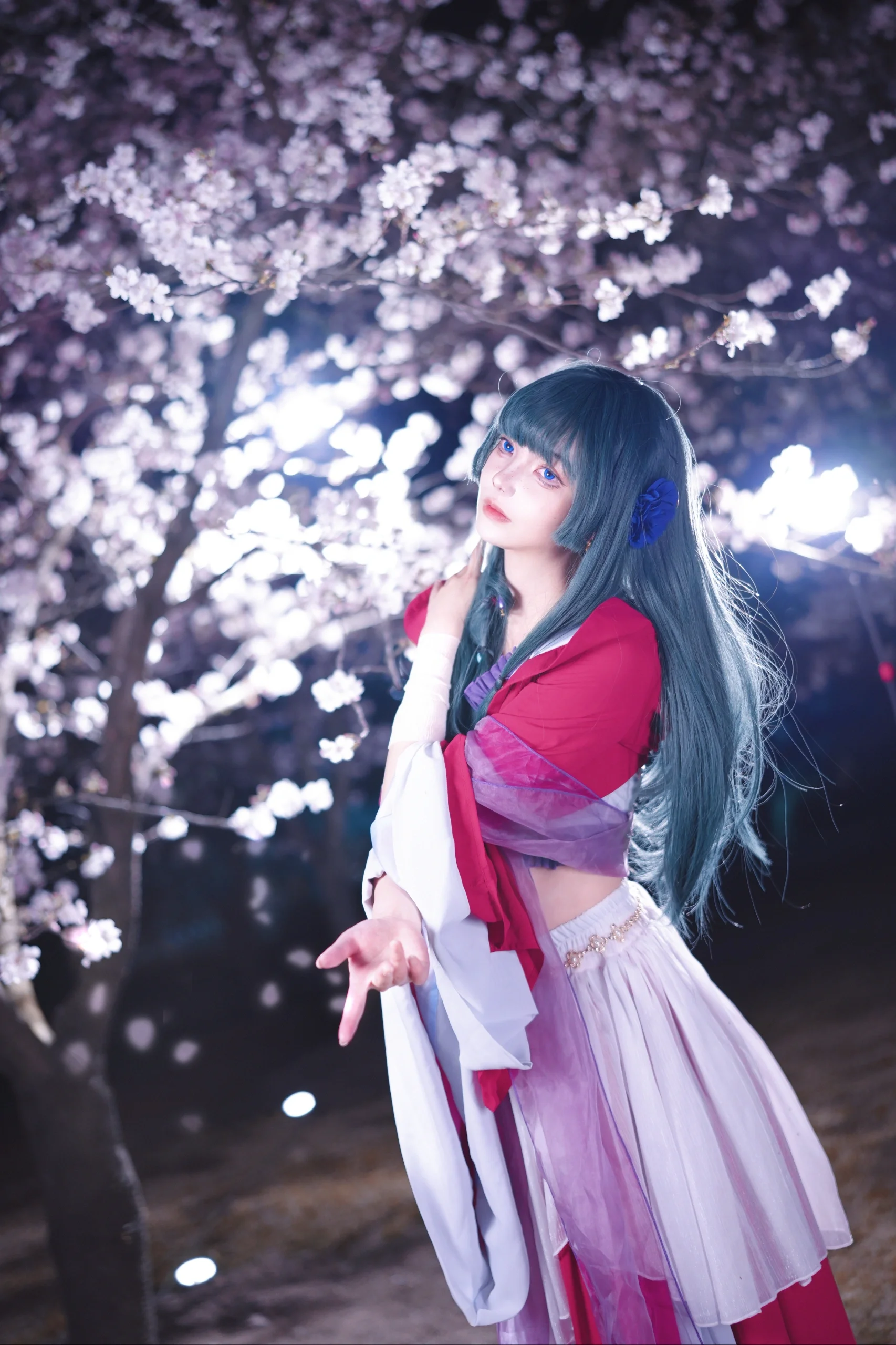 【猫猫cos】药屋少女的呢喃，夜樱下的月下舞裙 - 第 7 张