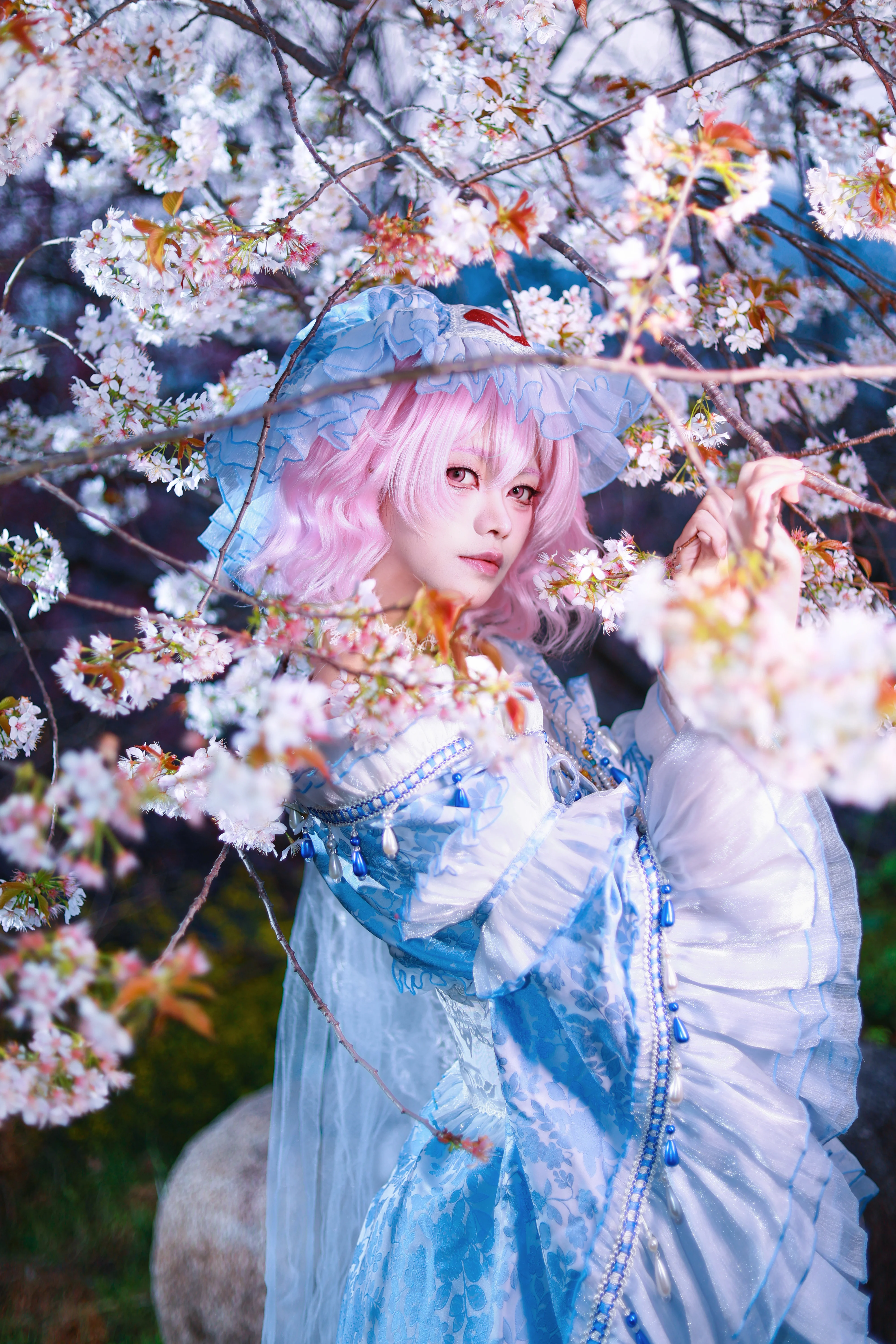 【西行寺幽幽子cos】杭州樱花园的春日幻想 - 第 1 张