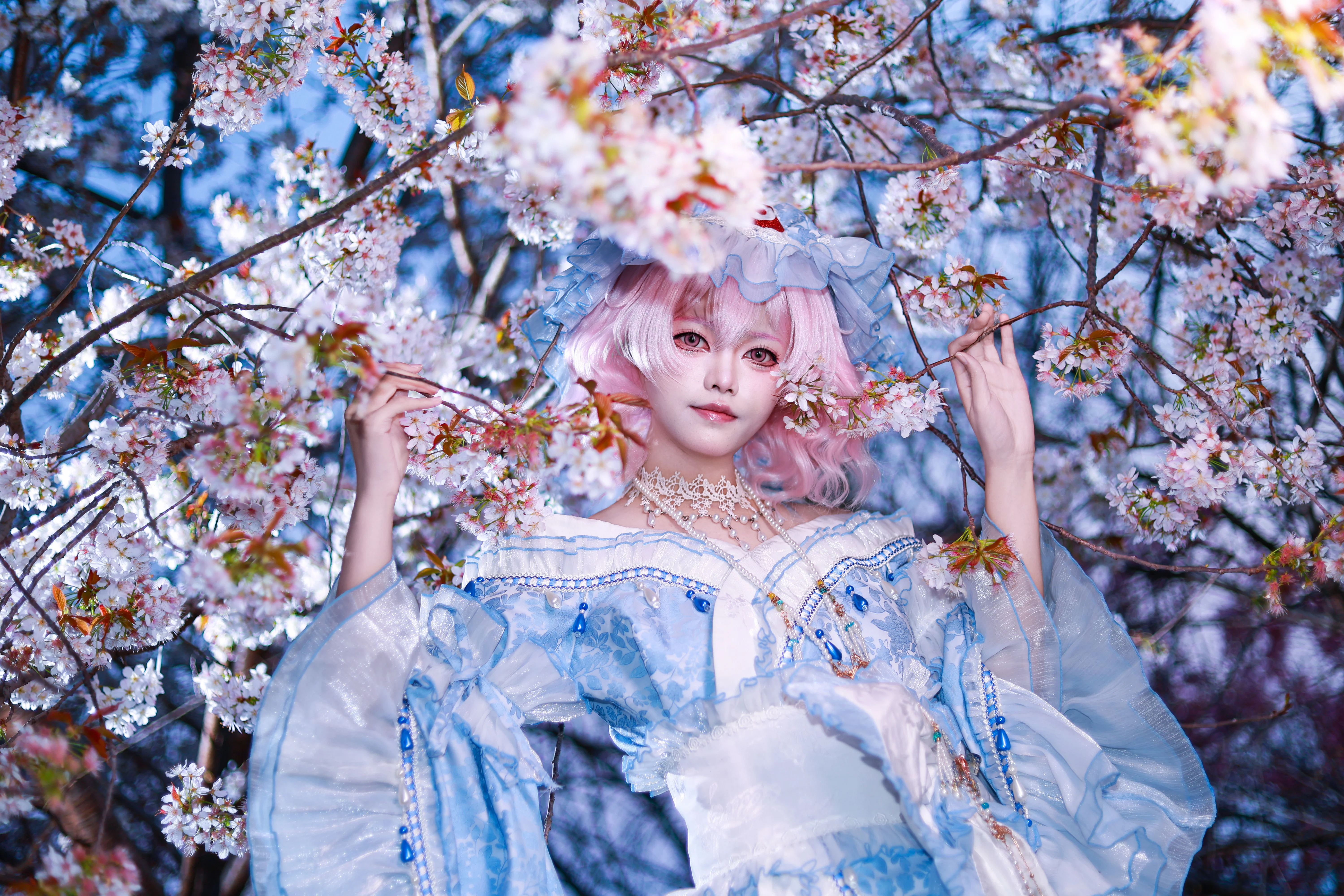 【西行寺幽幽子cos】杭州樱花园的春日幻想
