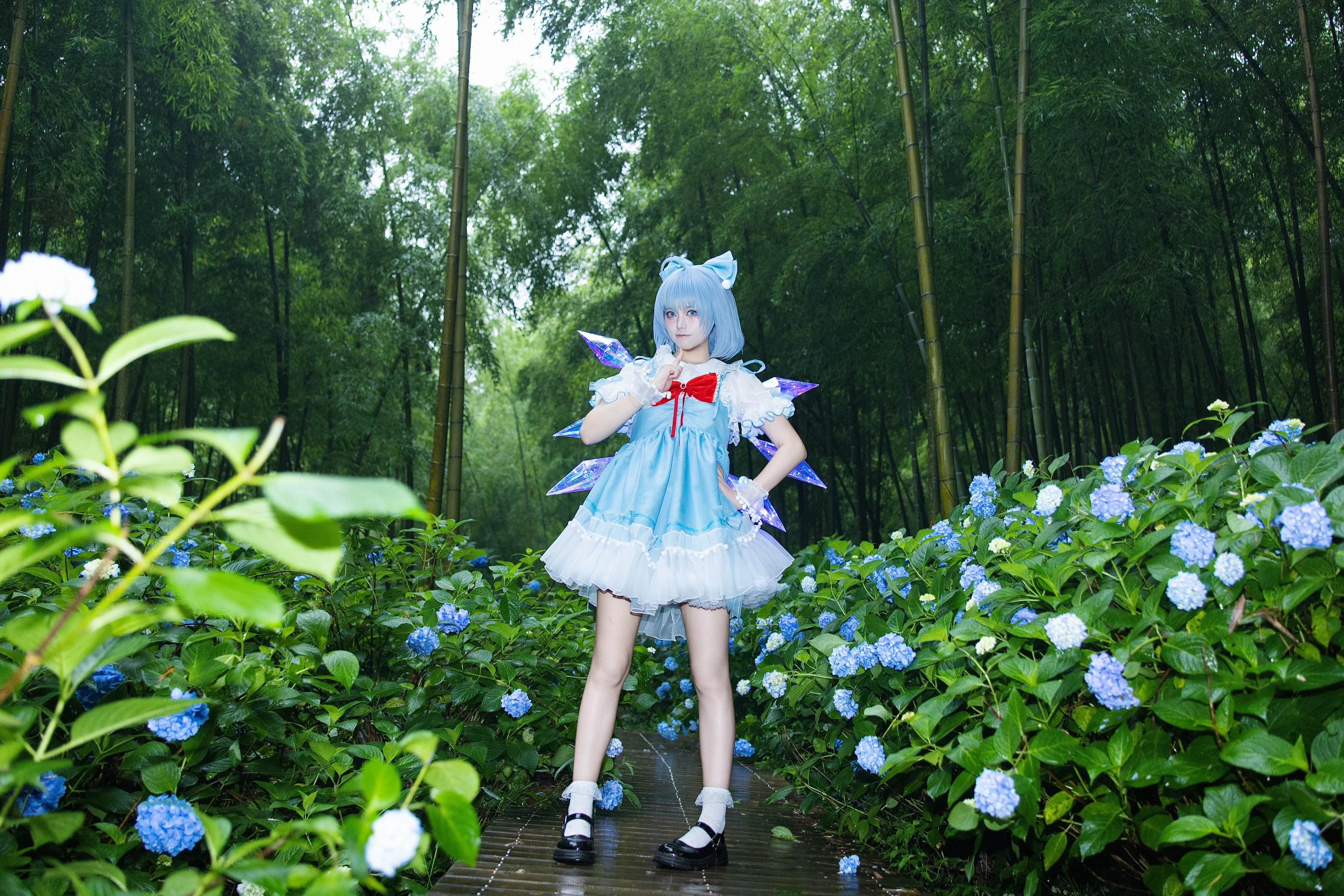 【Cirno Cosplay】The Ice Fairy in the Bamboo Forest After the Rain - Image 2