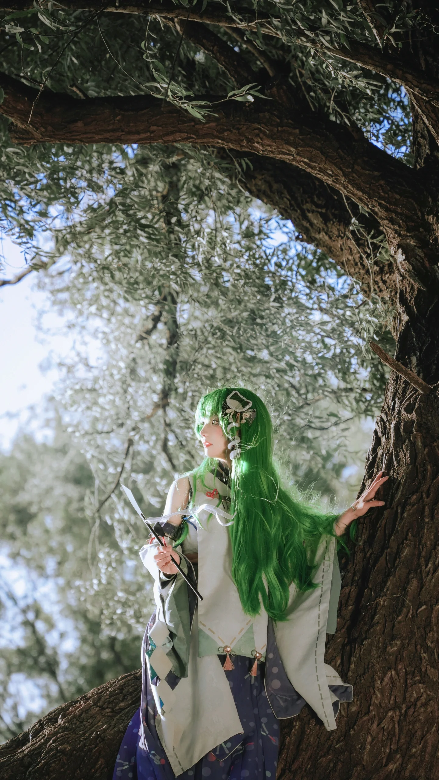 【东风谷早苗cos】东方project，树梢上的风神少女