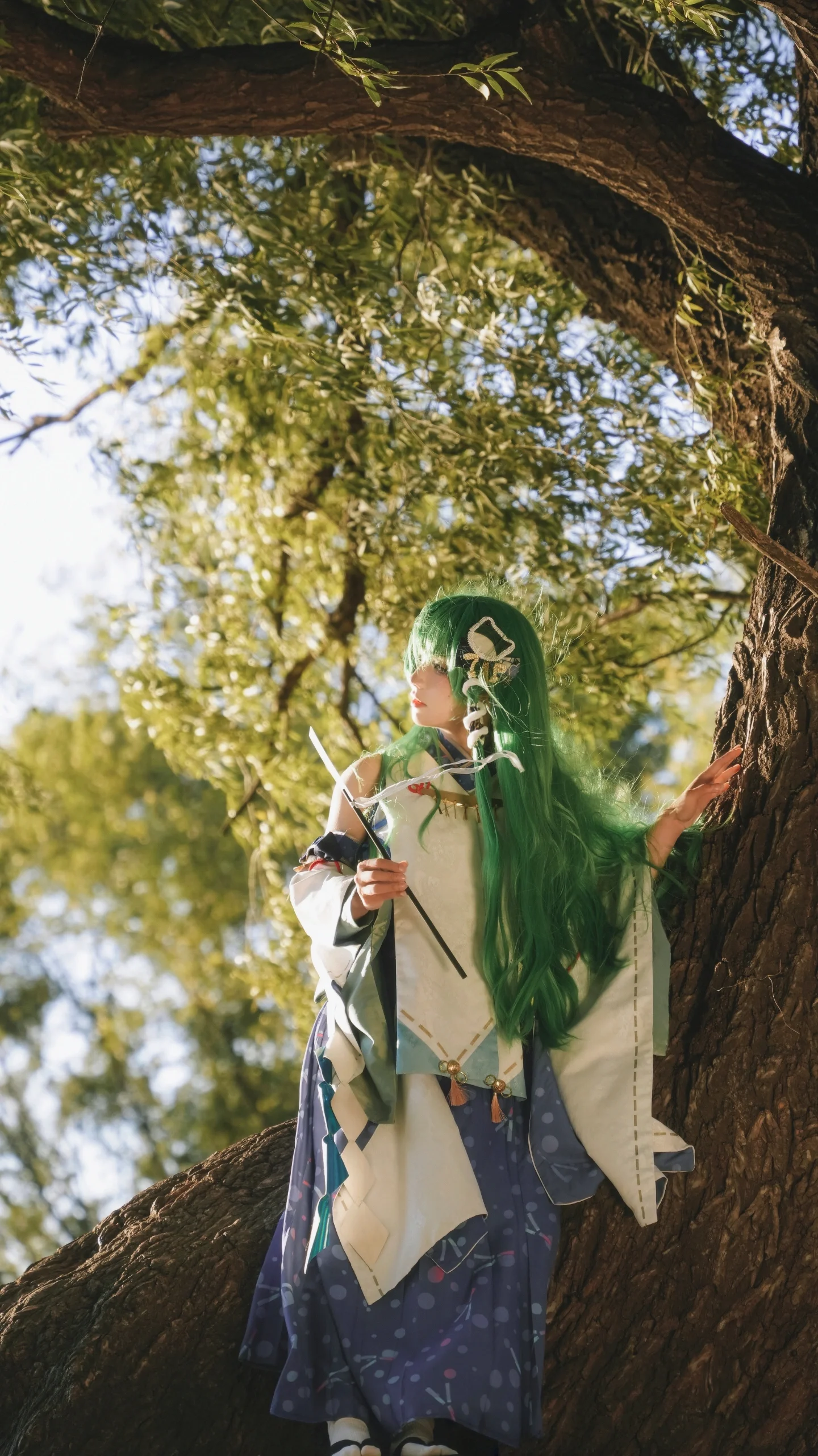 【东风谷早苗cos】东方project，树梢上的风神少女 - 第 2 张