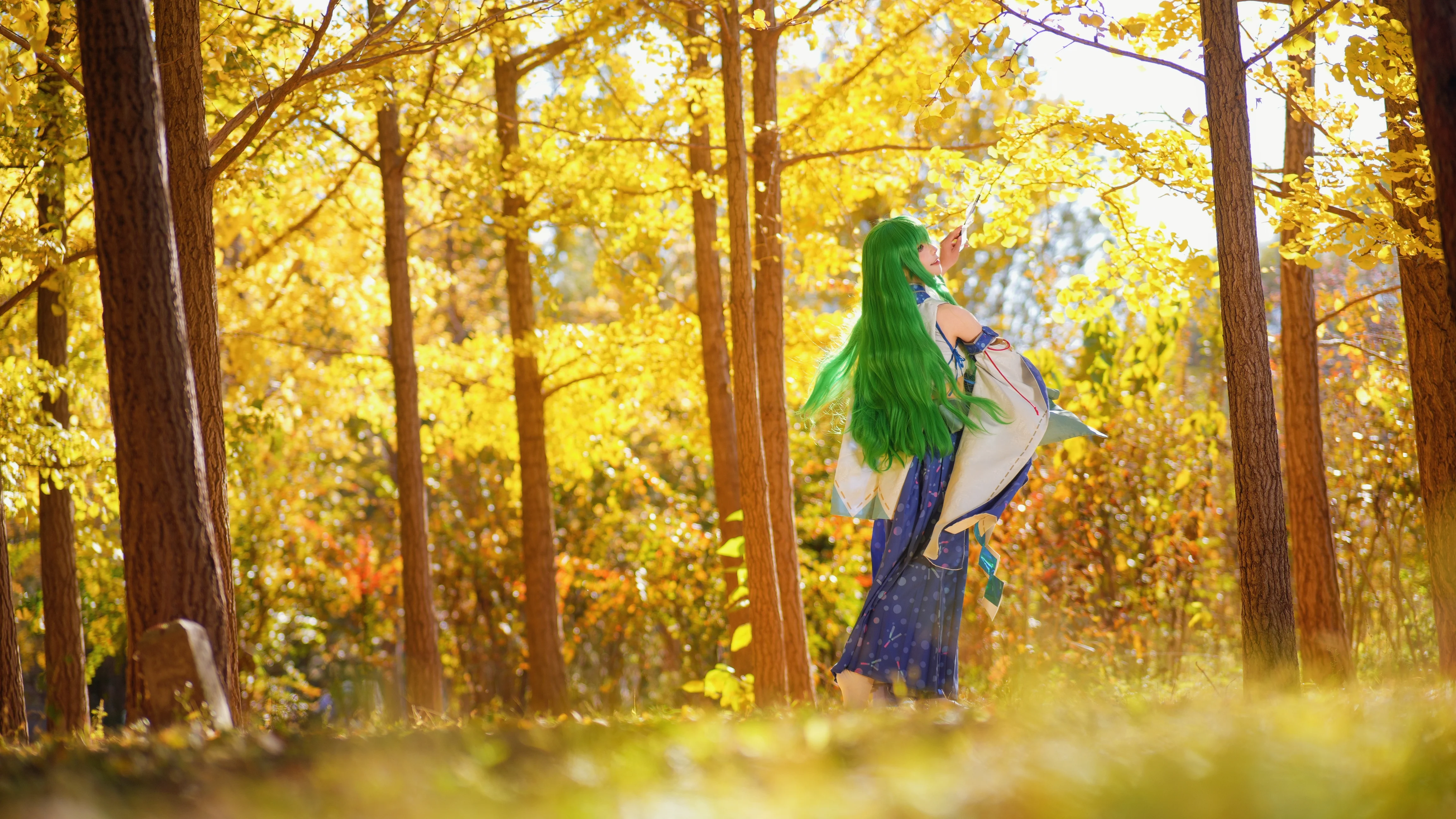 【东风谷早苗cos】秋日的银杏林里，是来赴约的守矢神社巫女 - 第 6 张