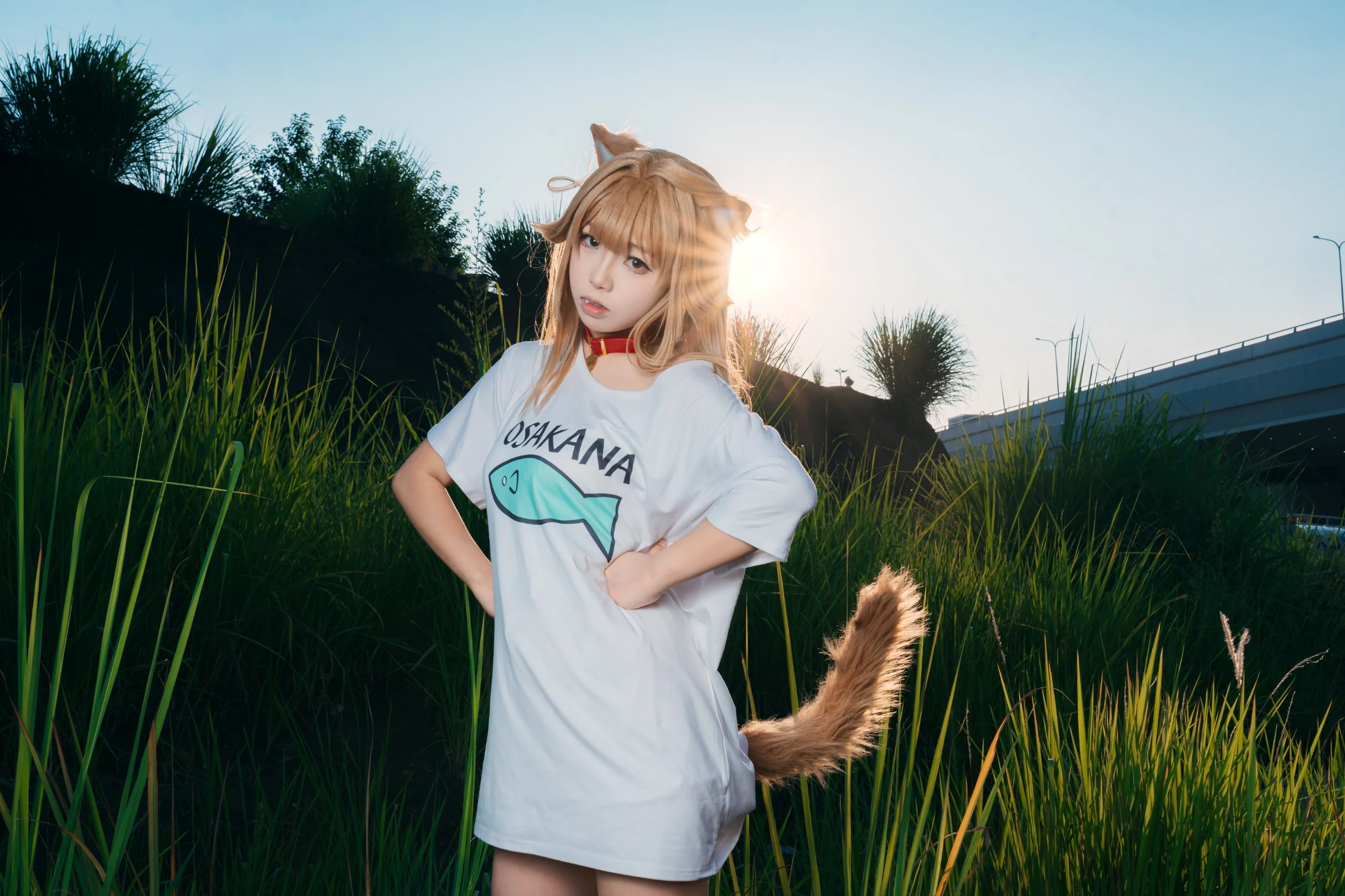 【兽耳娘cos】日落时分的野外光影与慵懒穿搭 - 第 9 张