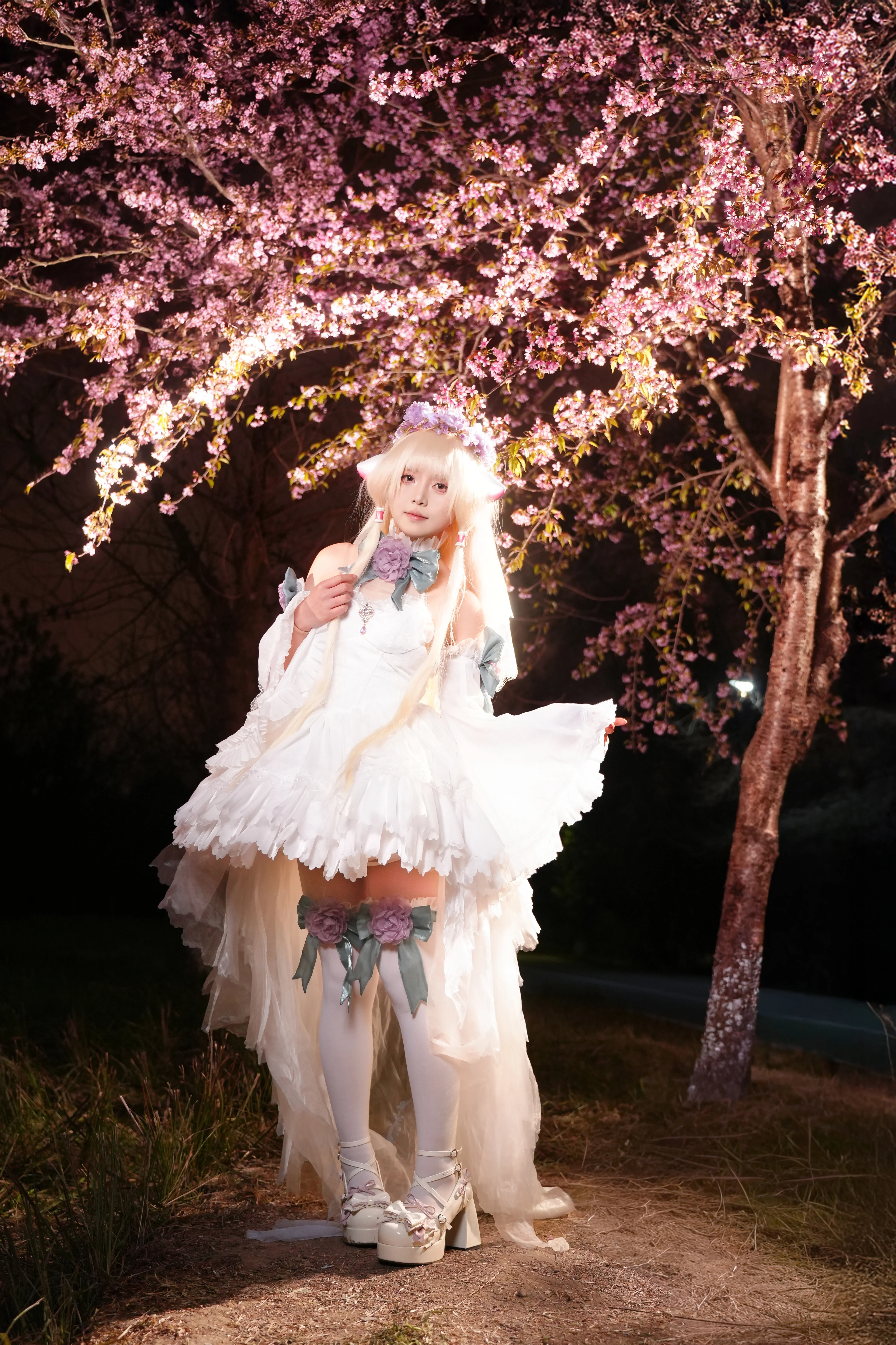 【小叽cos】青龙湖冬夜樱花树下的梦幻定格 - 第 1 张