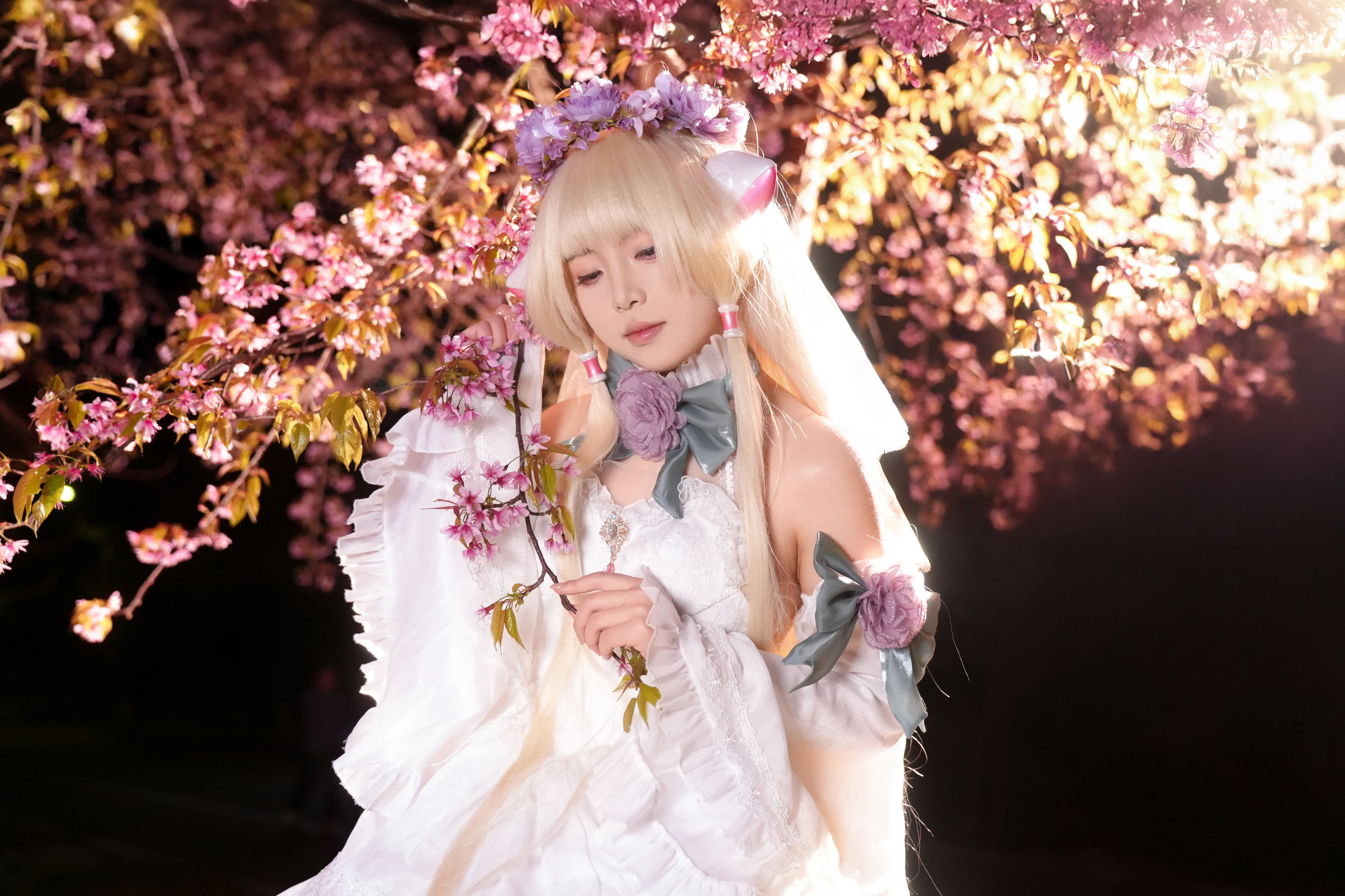 【小叽cos】青龙湖冬夜樱花树下的梦幻定格 - 第 6 张
