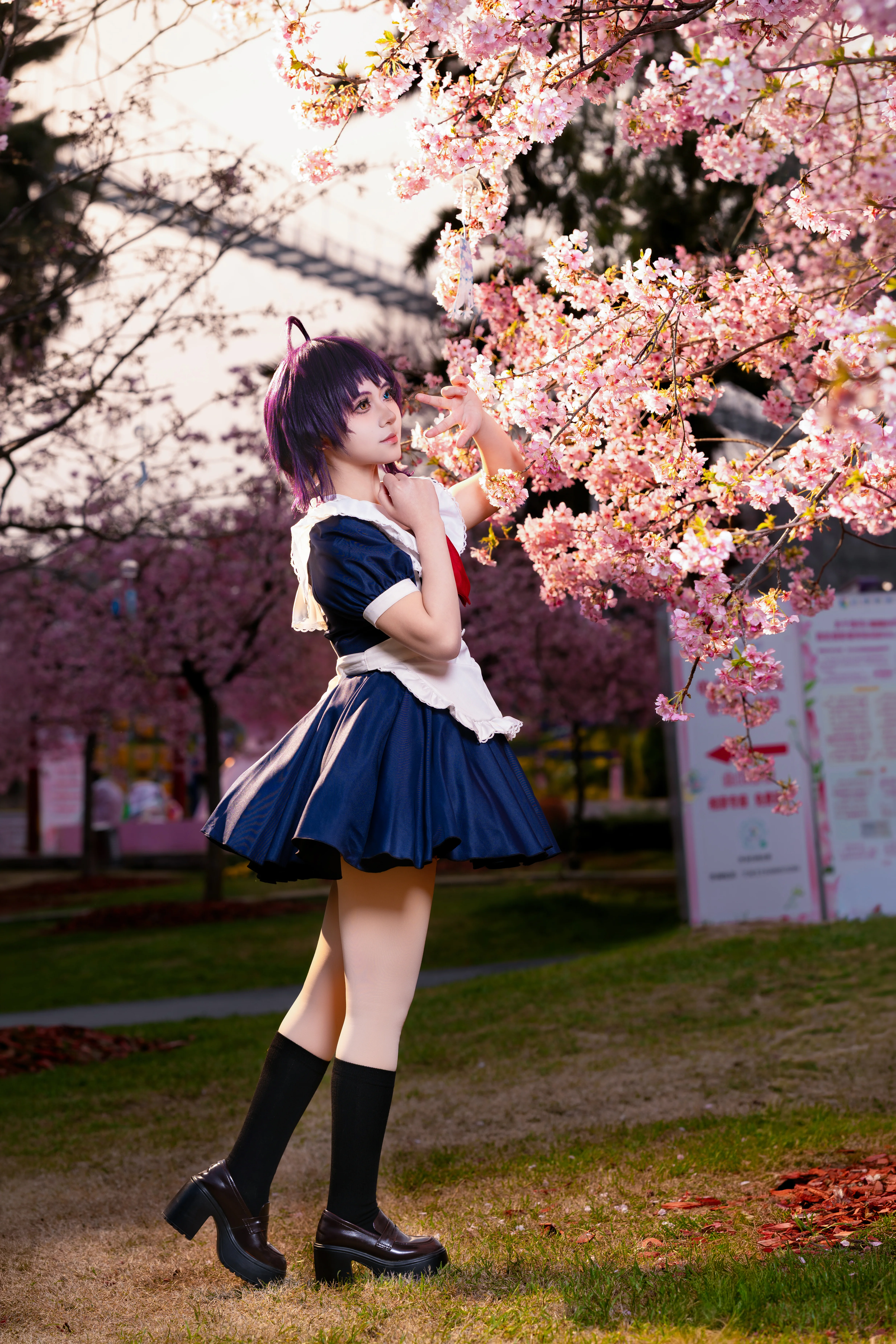 [Takanashi Rikka cosplay] Love, Chunibyo & Other Delusions, Manhua Manor Early Spring Private Design - Image 5