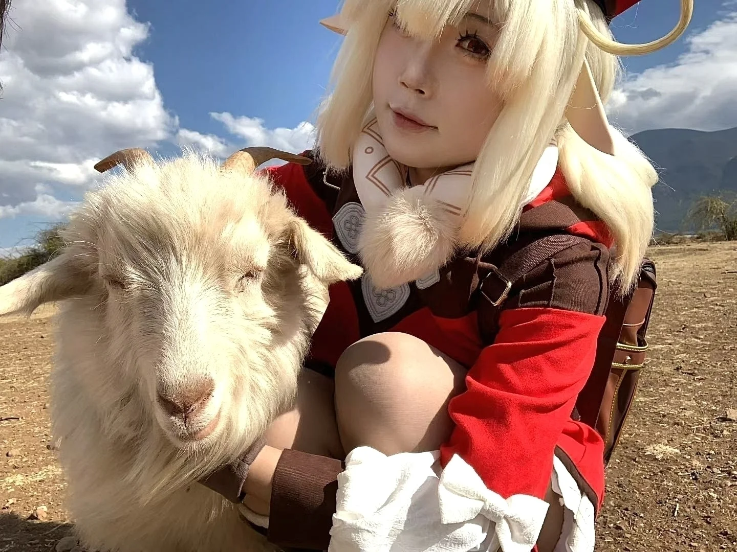 【可莉cos】原神裡的火花騎士和小羊咩咩的溫暖午後 - 第 1 張