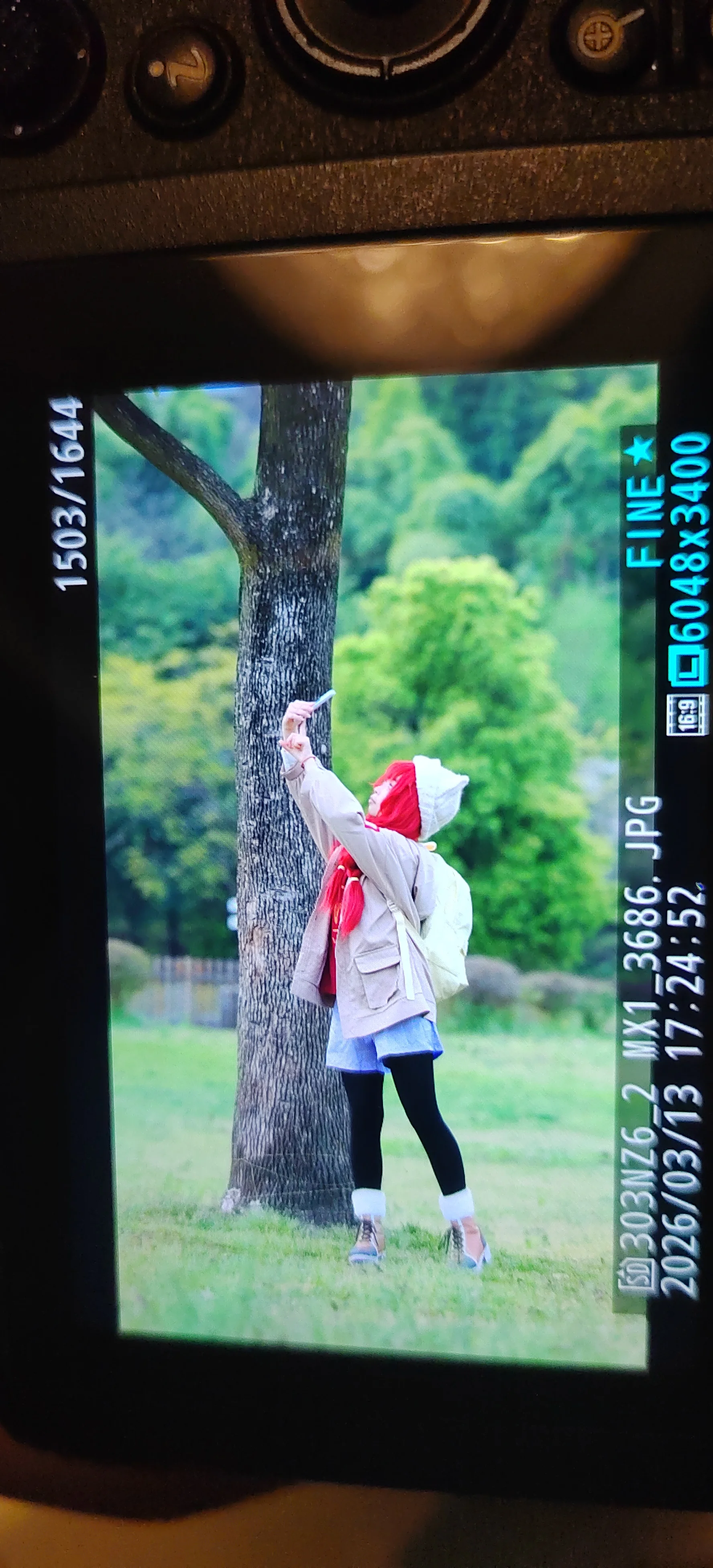 【真纪cos】蔚蓝档案春日露营，长焦镜头的户外摄影记录 - 第 3 张