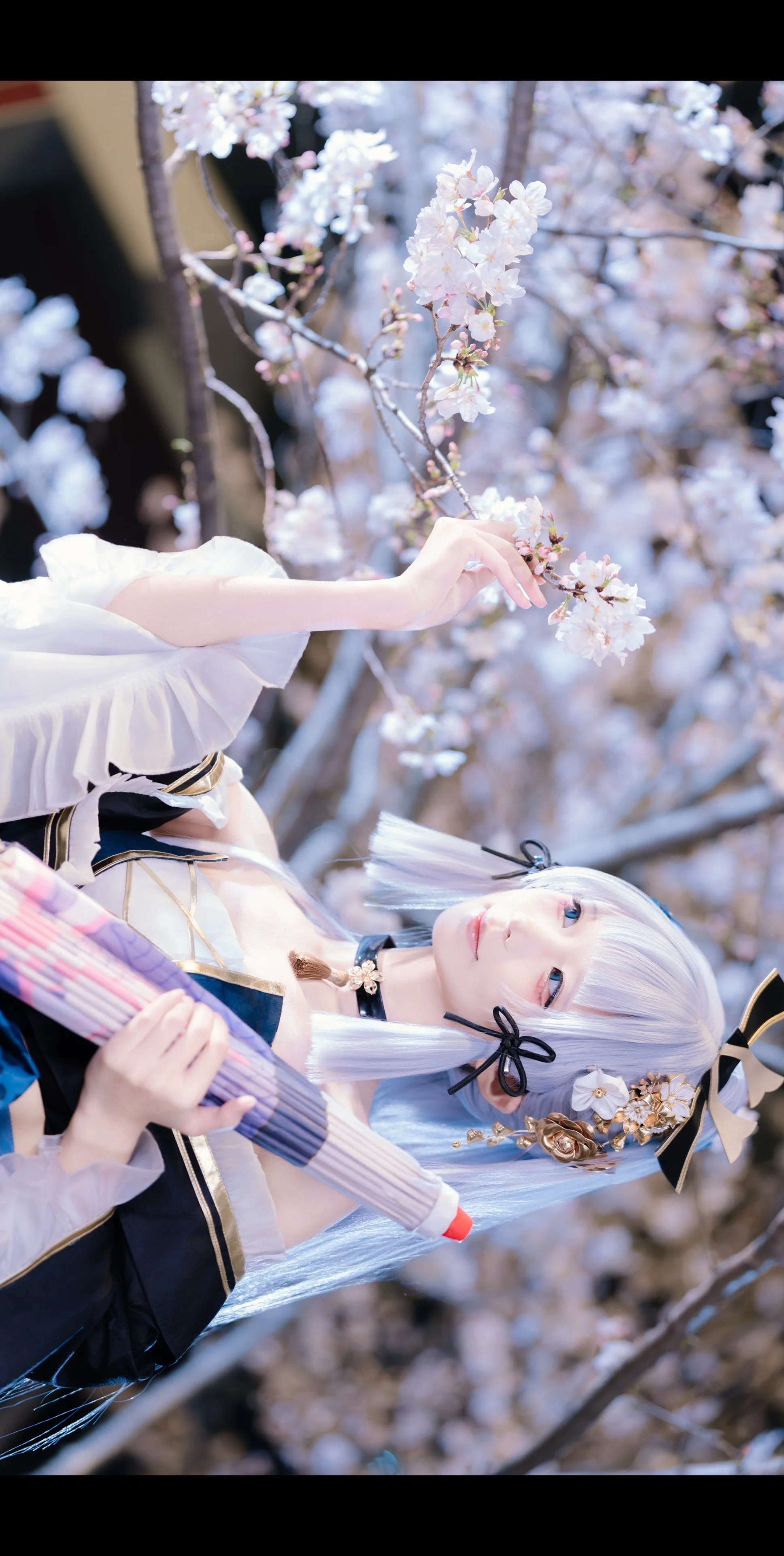 【神里绫华cos】夜樱下的黑道千金 - 第 3 张