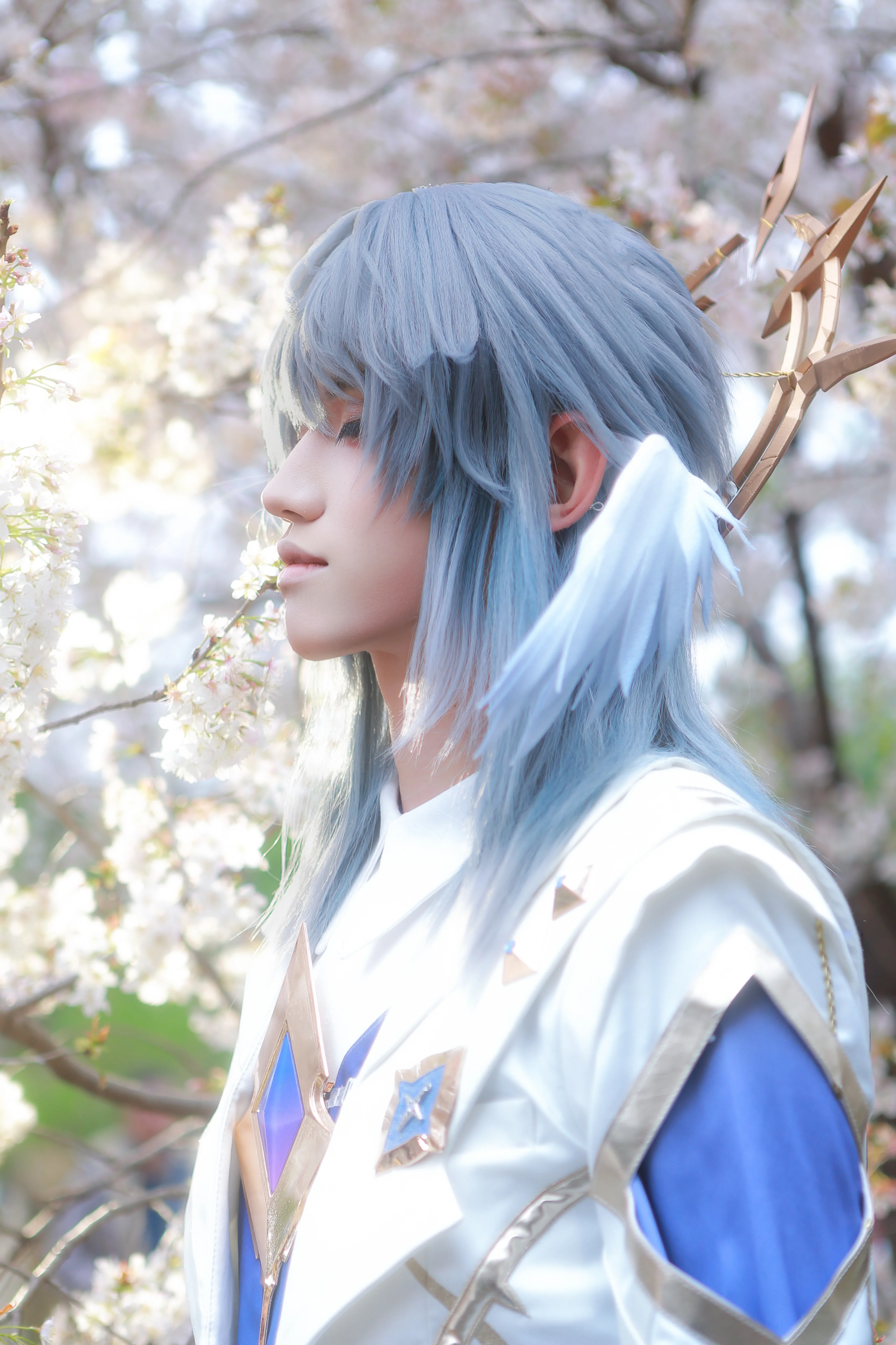 【星期日与知更鸟cos】匹诺康尼的樱花幻梦 - 第 3 张