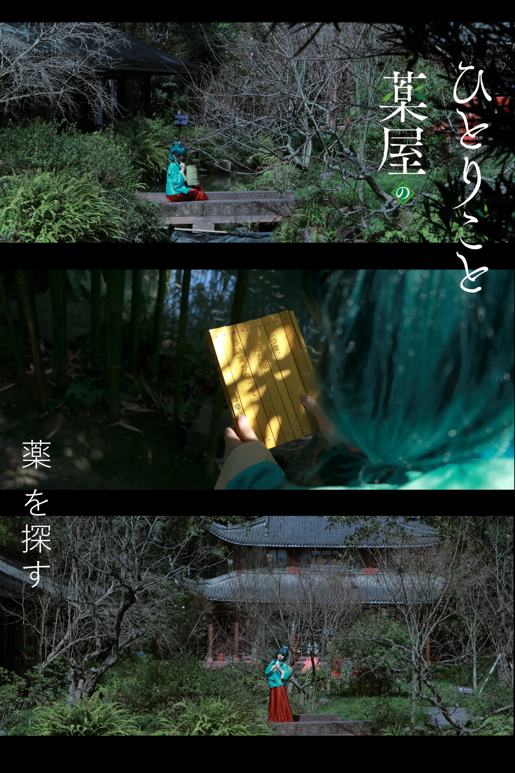 【猫猫コスプレ】三蘇祠の薬草摘み少女、ナチュラル感が最高潮 - 1 枚目