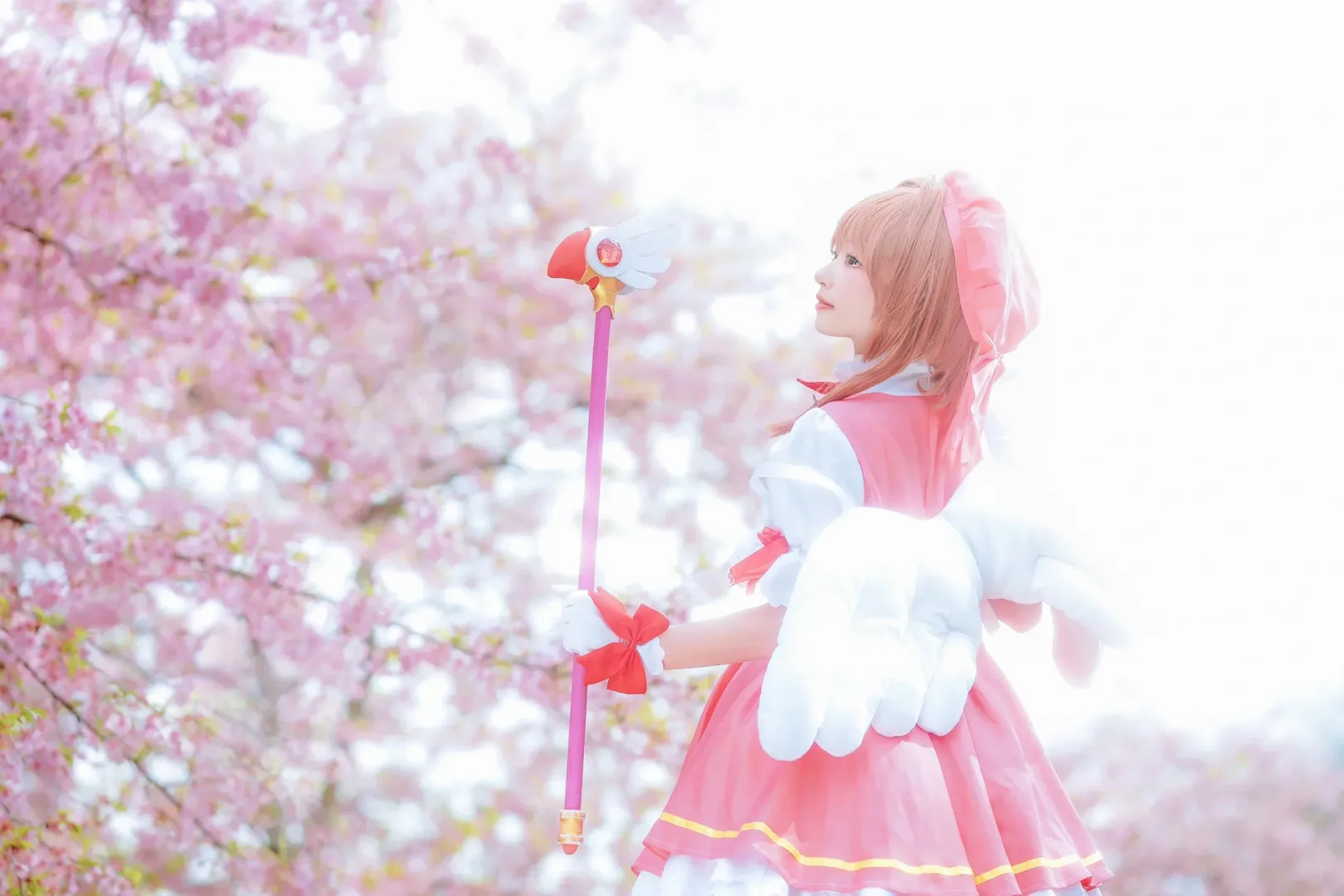 【Sakura cosplay】Fulfilling My Cardcaptor Sakura Dream Under the Cherry Blossoms - Image 10