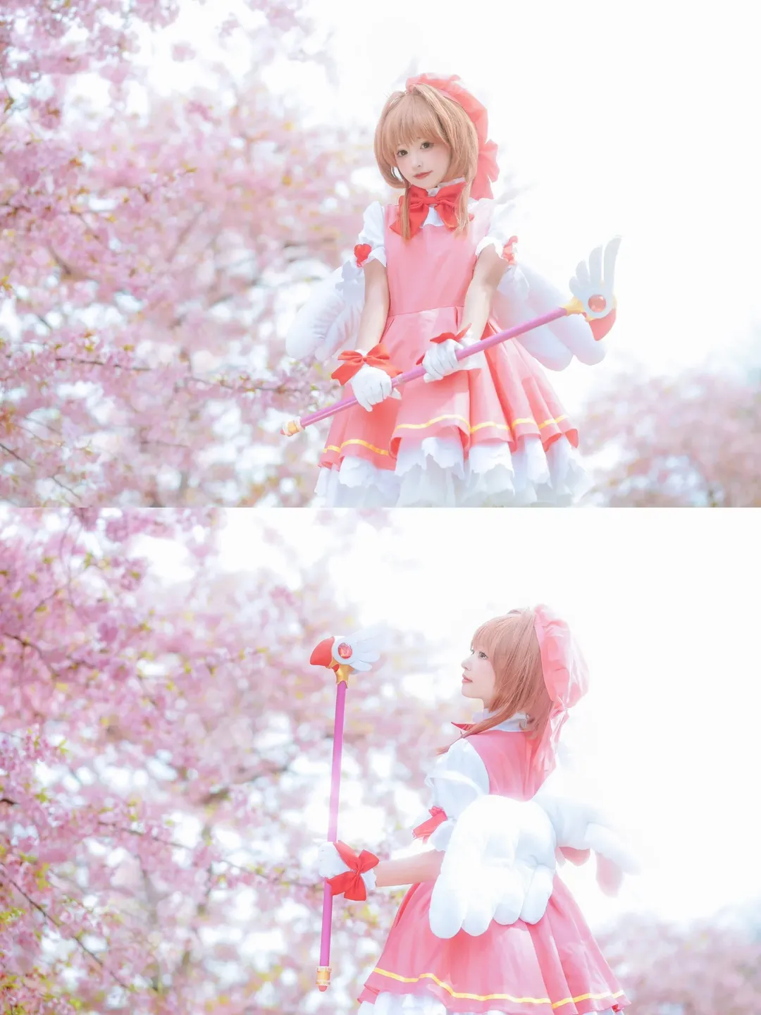 【Sakura cosplay】Fulfilling My Cardcaptor Sakura Dream Under the Cherry Blossoms - Image 2