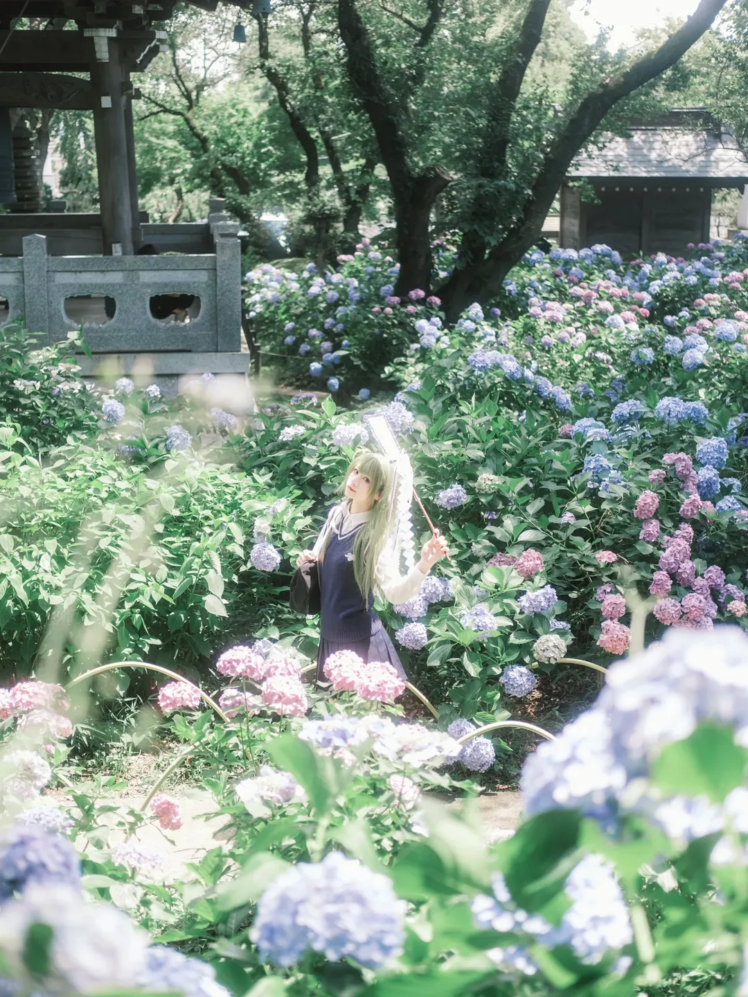【东风谷早苗cos】平成18年的绣球花海，定格在妙乐寺的初夏时光 - 第 1 张