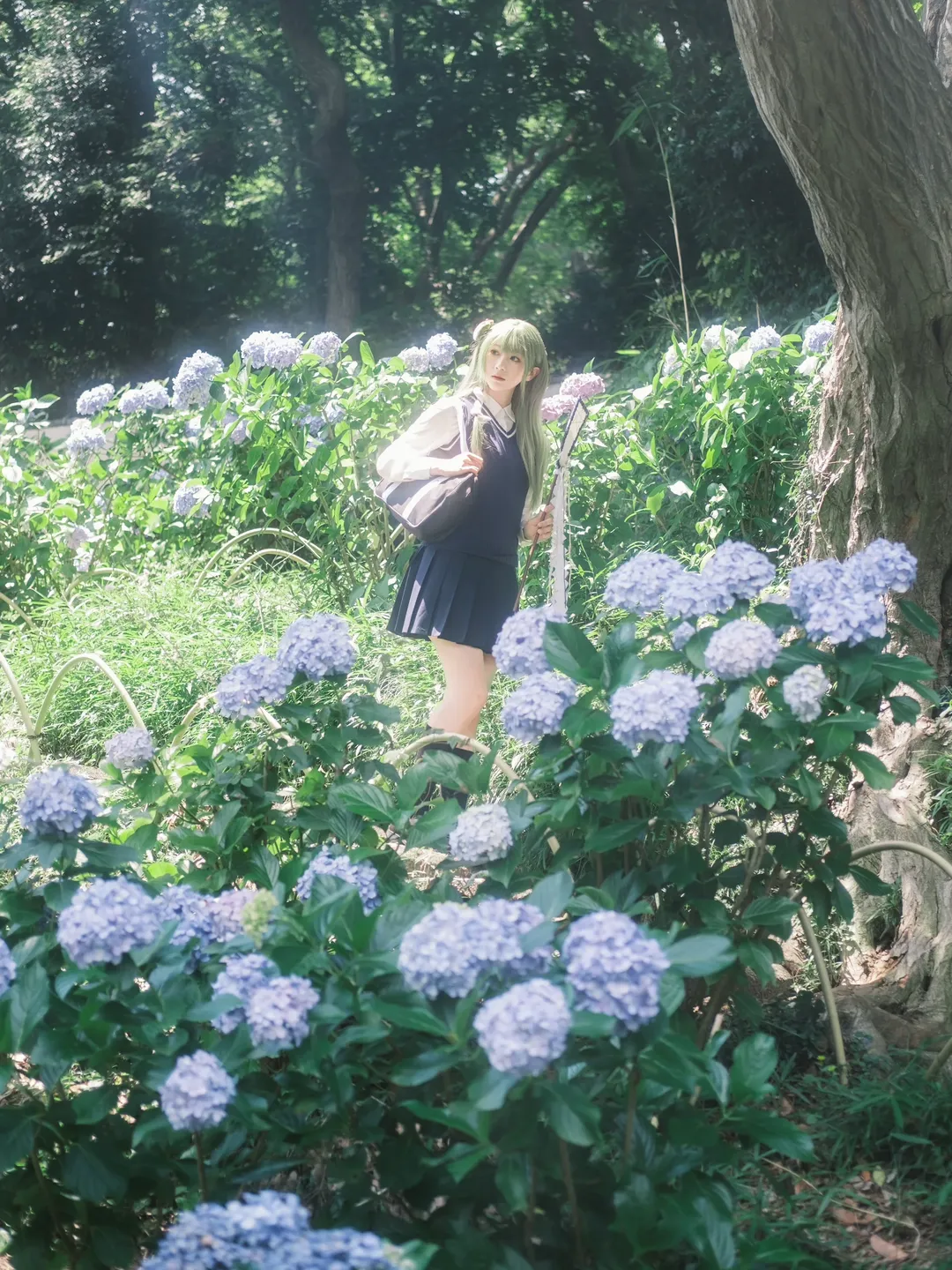 【东风谷早苗cos】平成18年的绣球花海，定格在妙乐寺的初夏时光 - 第 3 张