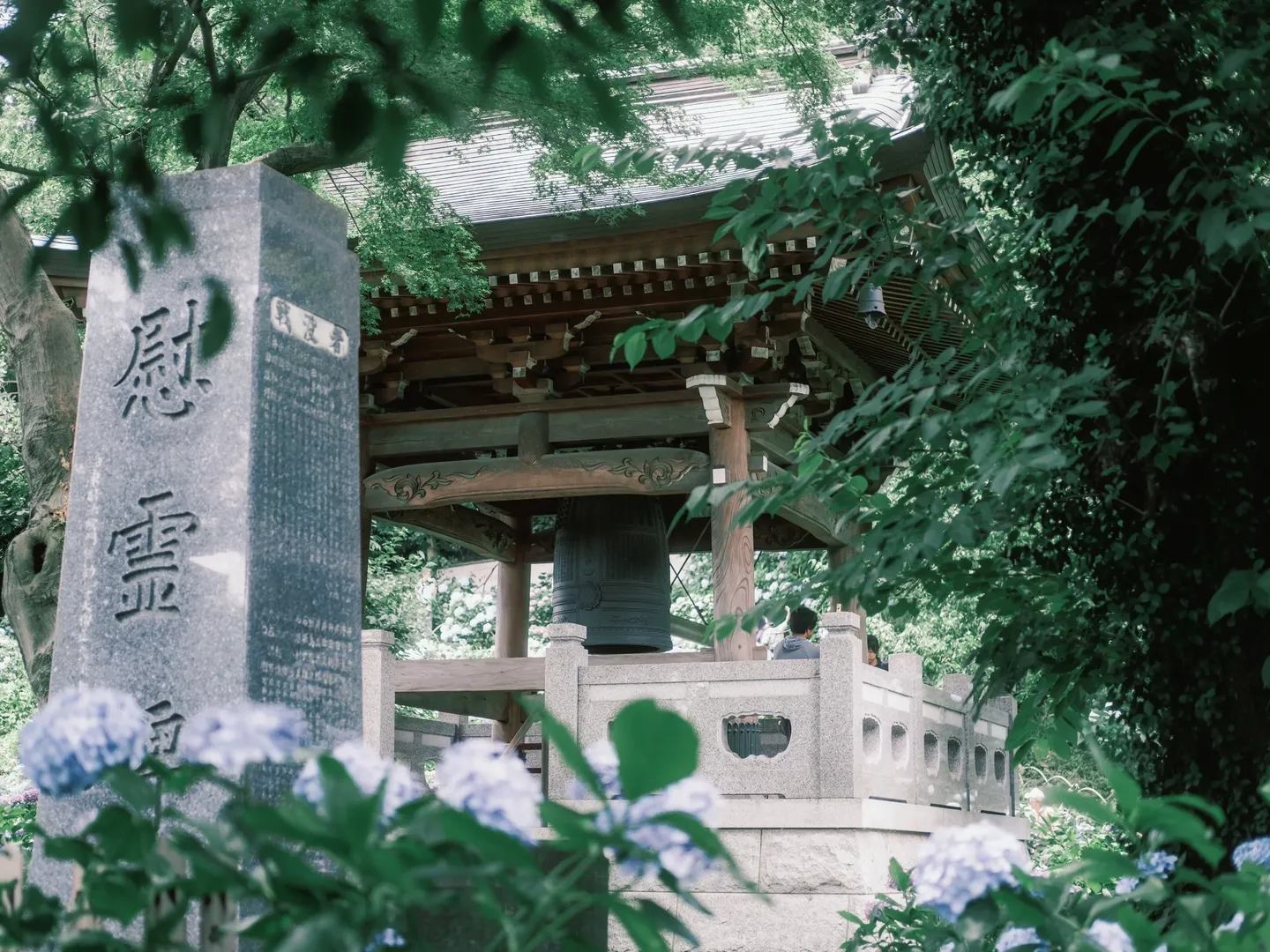 【东风谷早苗cos】平成18年的绣球花海，定格在妙乐寺的初夏时光 - 第 8 张