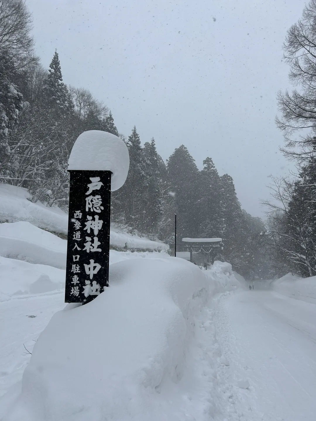 【冲田总司cos】户隐神社雪景下的灵衣总司 - 第 10 张