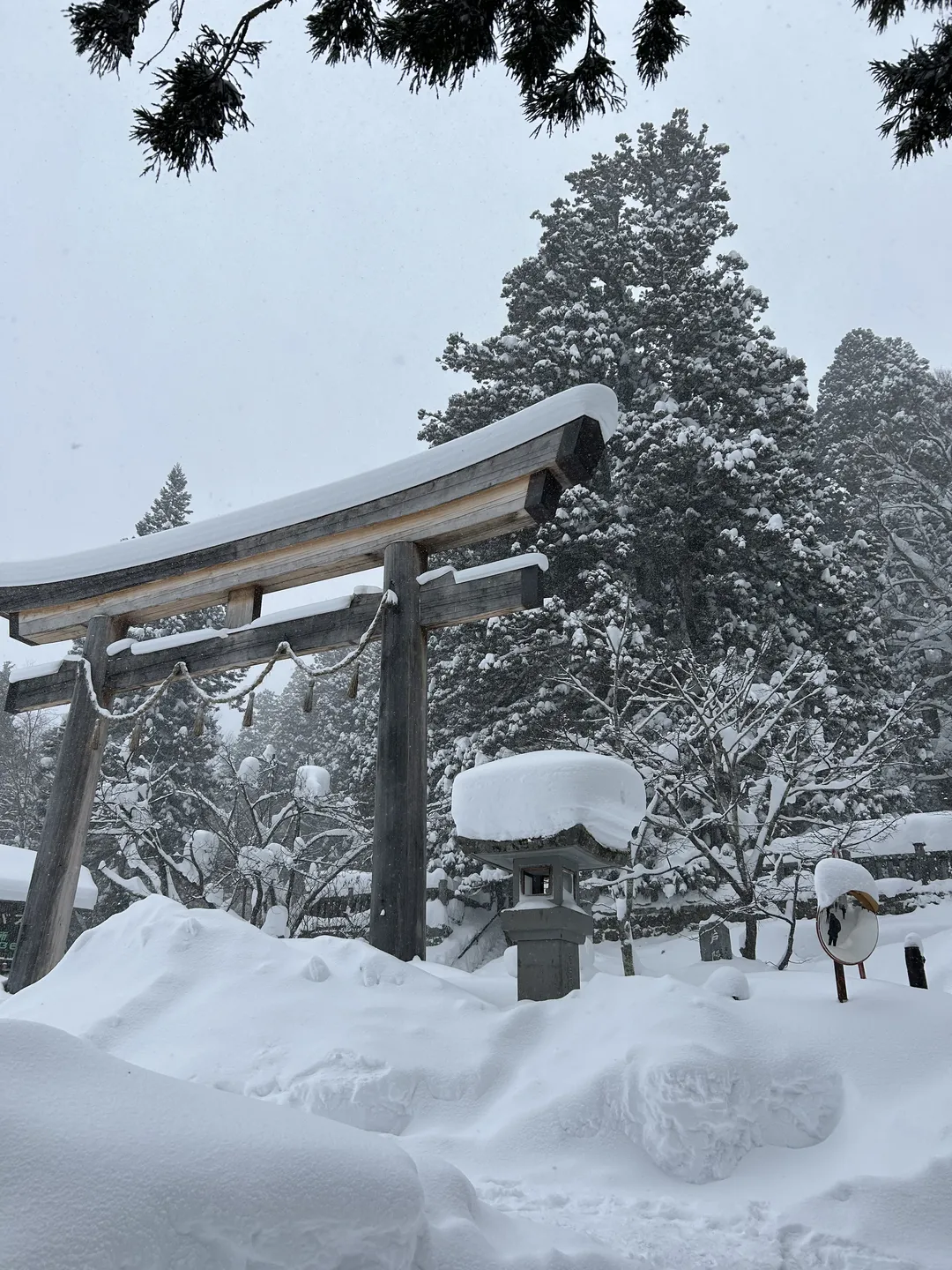 【冲田总司cos】户隐神社雪景下的灵衣总司 - 第 11 张