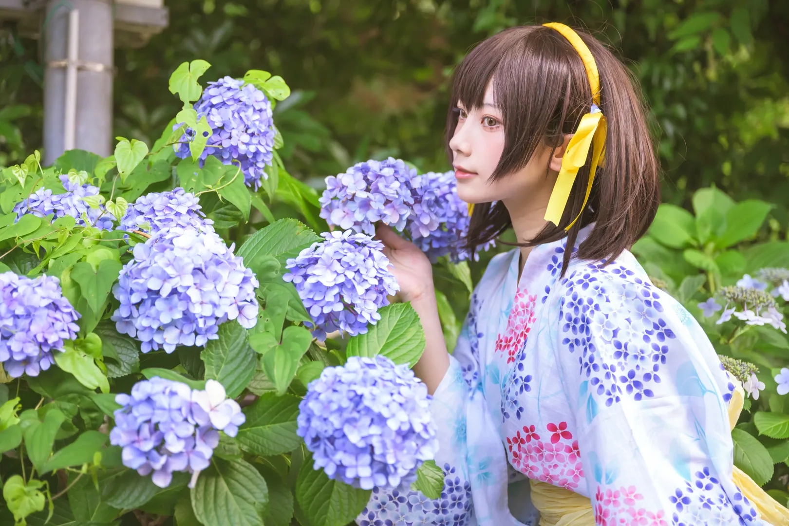 【凉宫春日cos】夏日浴衣与绣球花，漫无止境的八月记忆 - 第 6 张