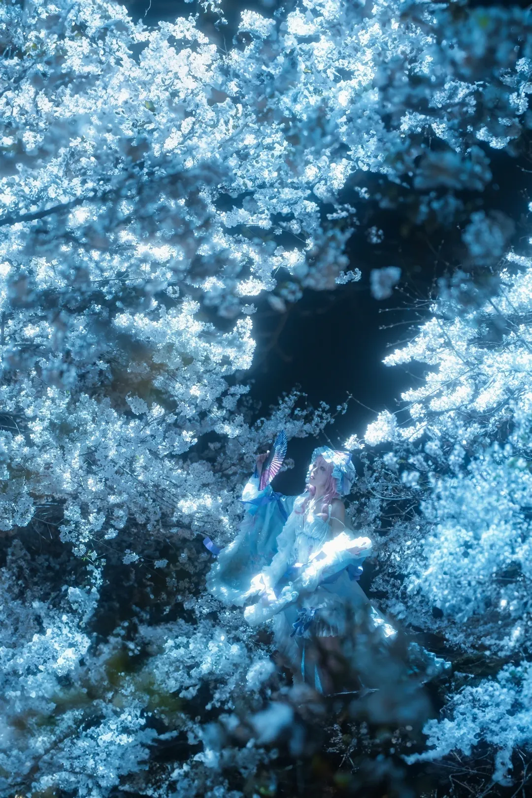 【西行寺幽幽子cos】櫻花與幽夢交織的幻境瞬間