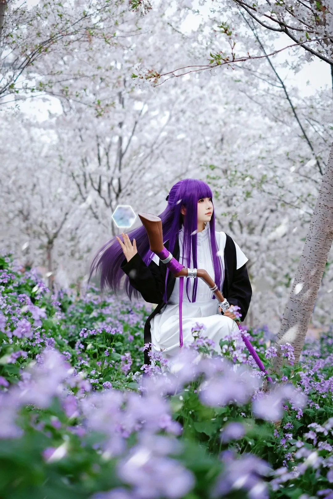 【菲伦cos】葬送的芙莉莲魔法使的樱花树日记 - 第 1 张