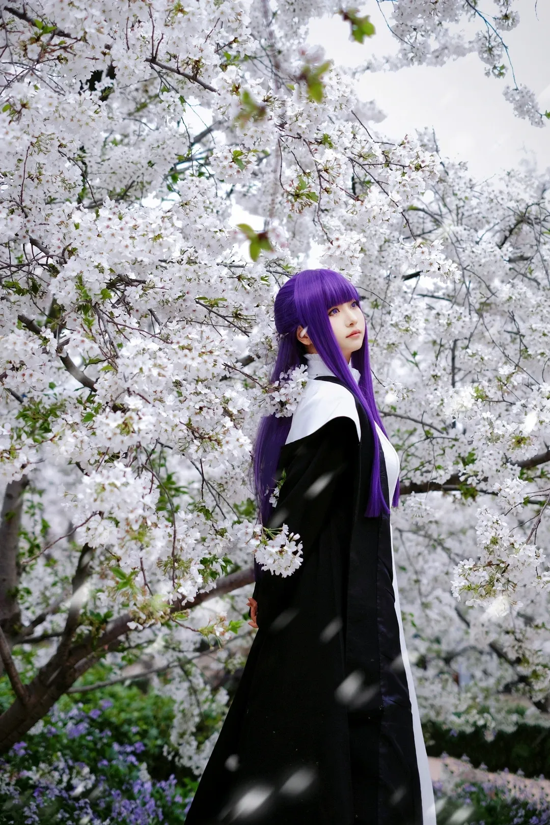 【菲伦cos】葬送的芙莉莲魔法使的樱花树日记 - 第 3 张