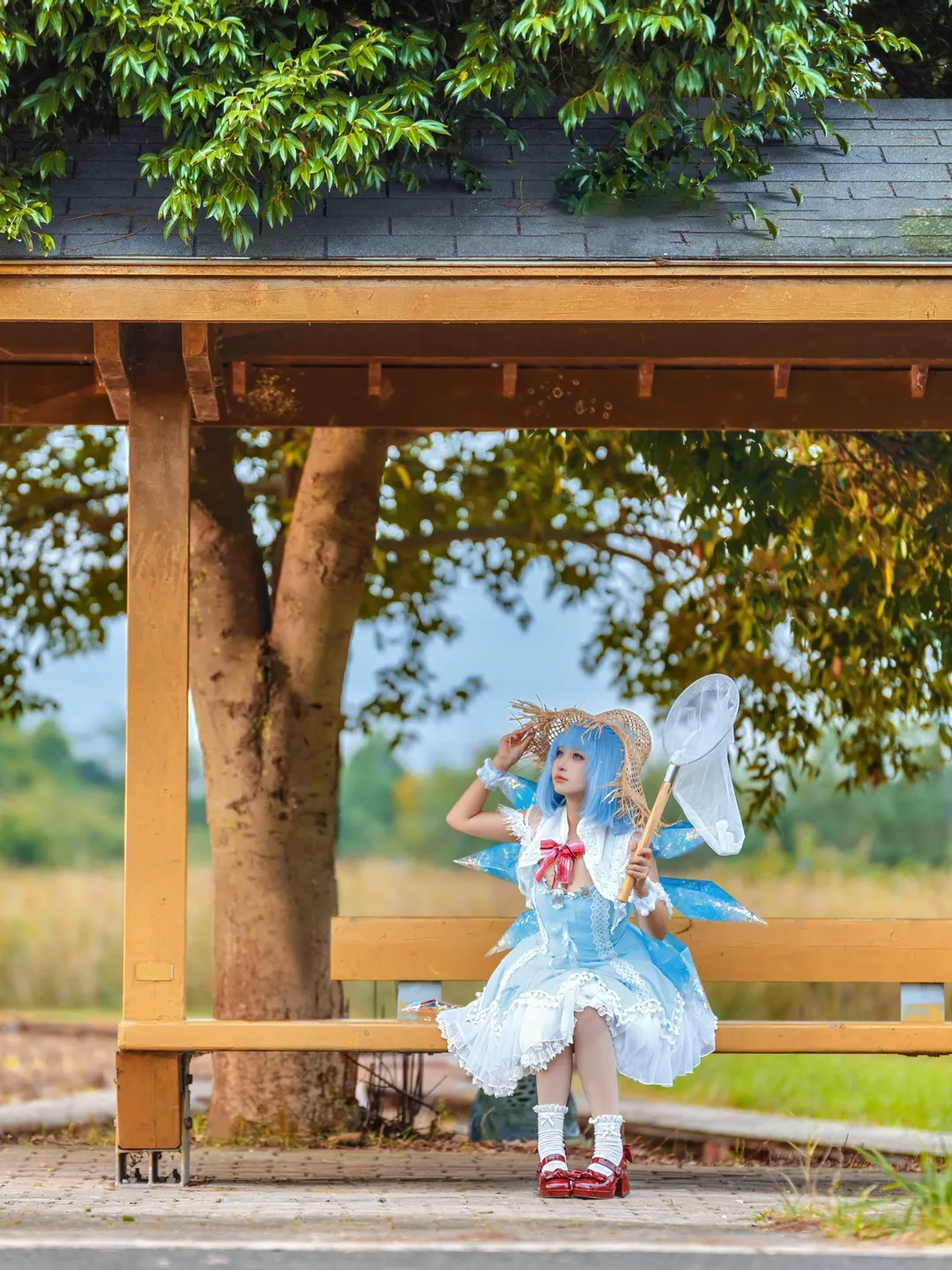 【琪露诺cos】炎夏里的冰之妖精，东方project夏日外景分享