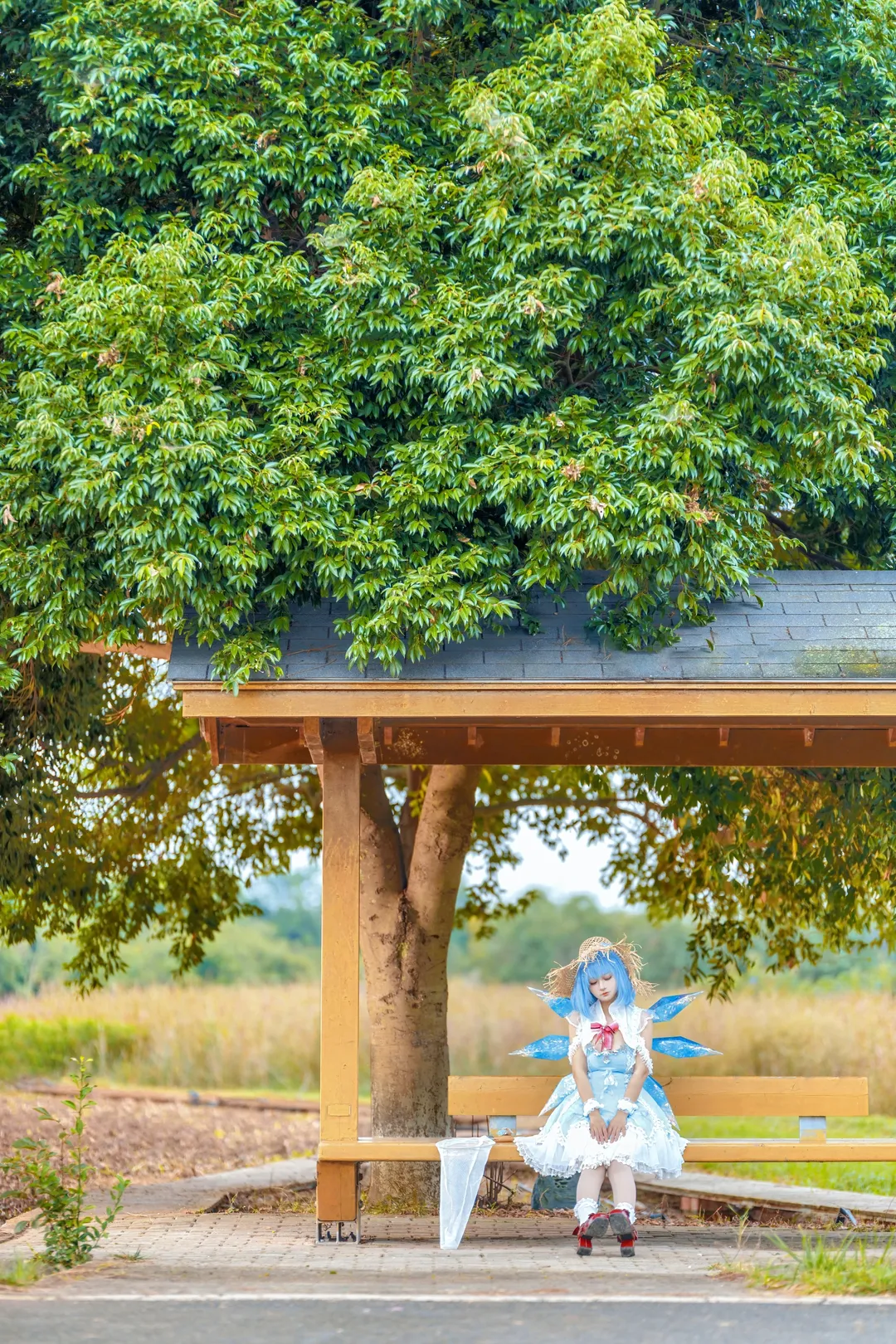 【Cirno cosplay】The Ice Fairy in Midsummer: Touhou Project Refreshing Summer Outdoor Photoshoot - Image 5