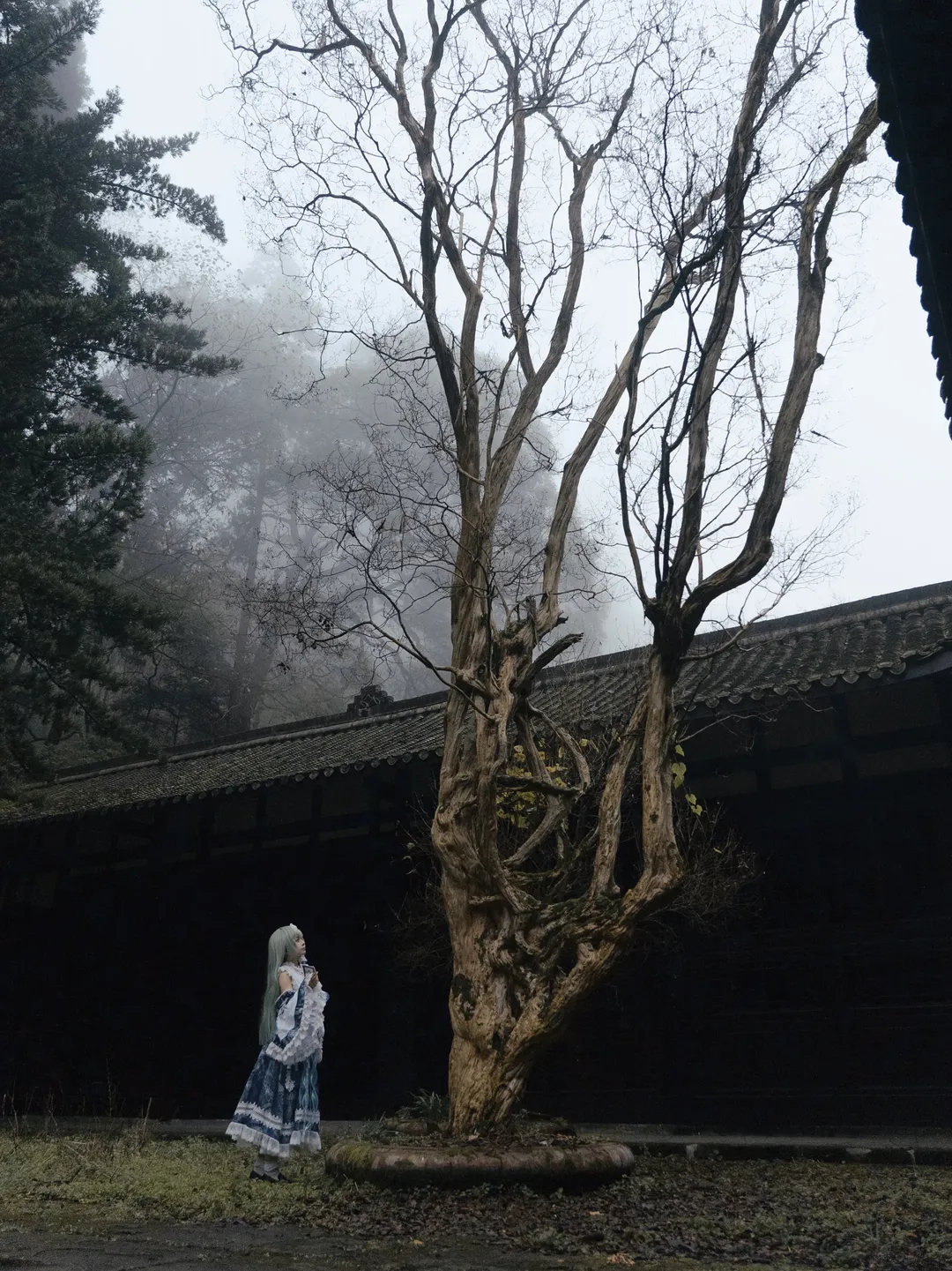 【东风谷早苗cos】奇迹之风，驱散晨雾里的庭院 - 第 2 张