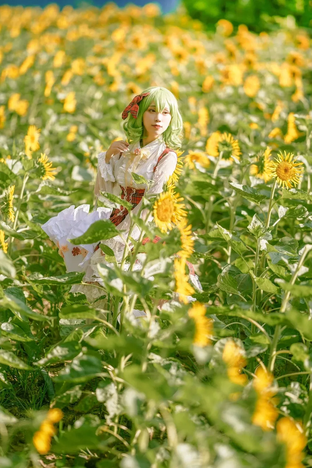 【风见幽香cos】东方project的夏日花之主人，漫步在向日葵花海 - 第 13 张