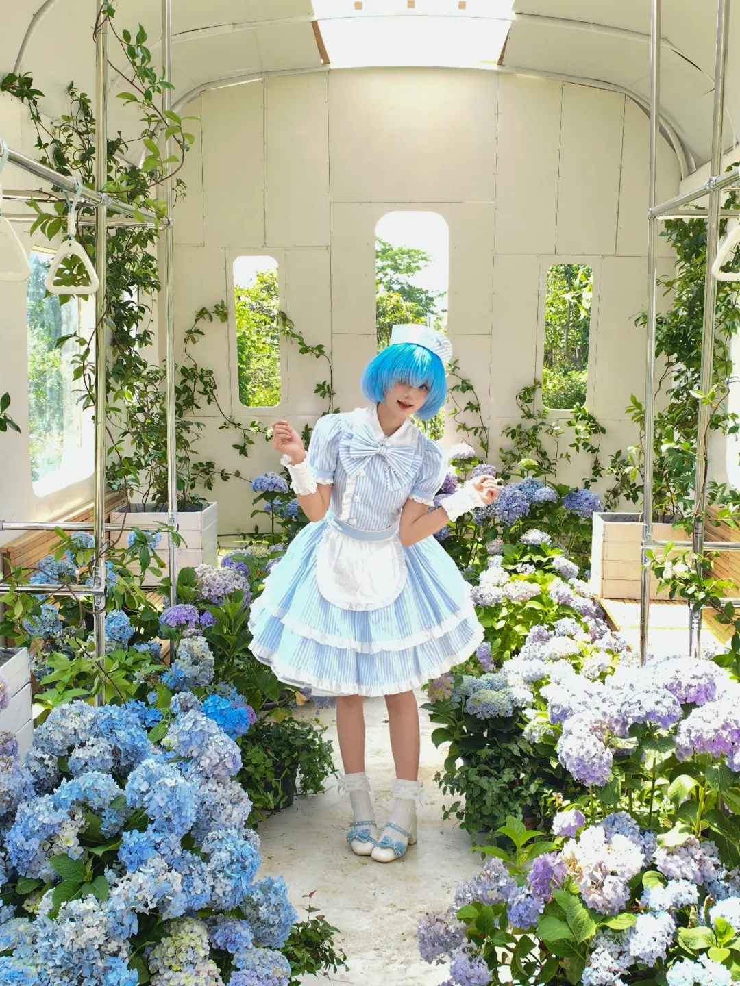 【蕾姆cos】从零开始的异世界生活绣球花温室拍摄花絮 - 第 2 张