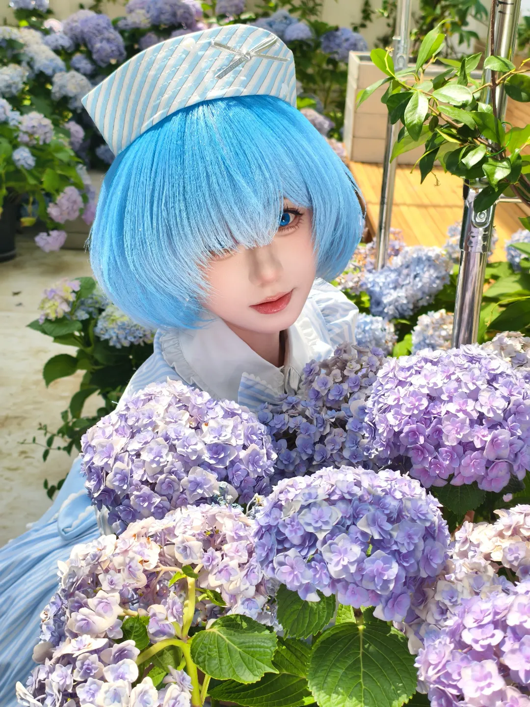 【蕾姆cos】从零开始的异世界生活绣球花温室拍摄花絮 - 第 4 张