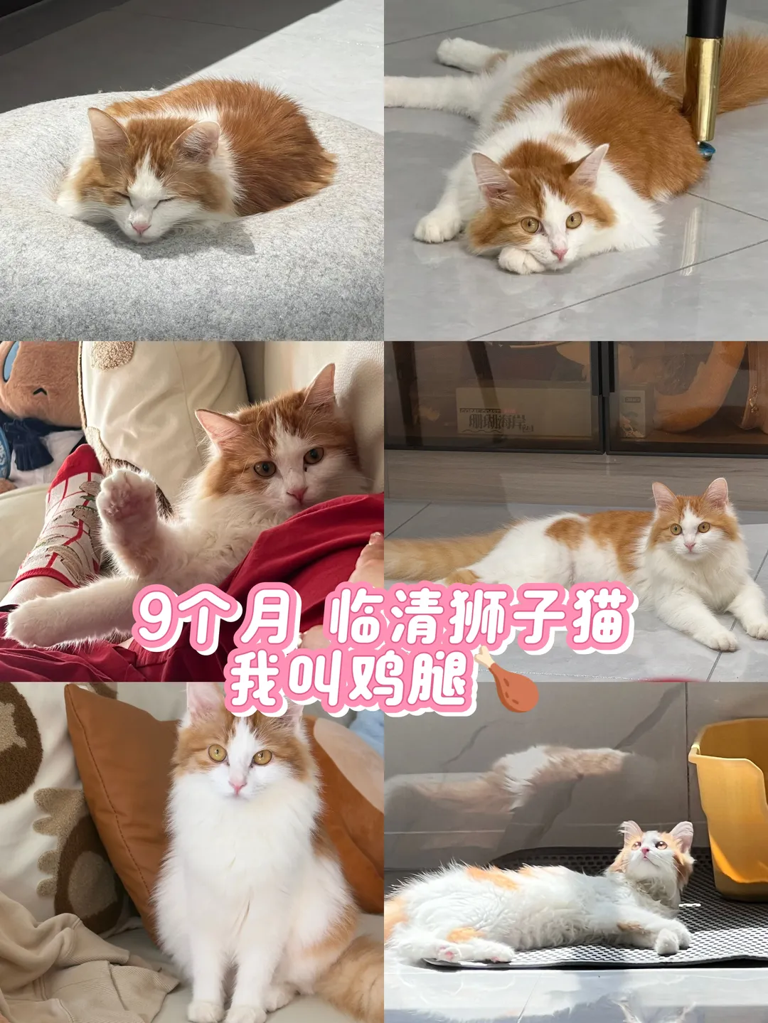 【明日方舟女博士cos】分享近期线下出片与日常碎片 - 第 8 张