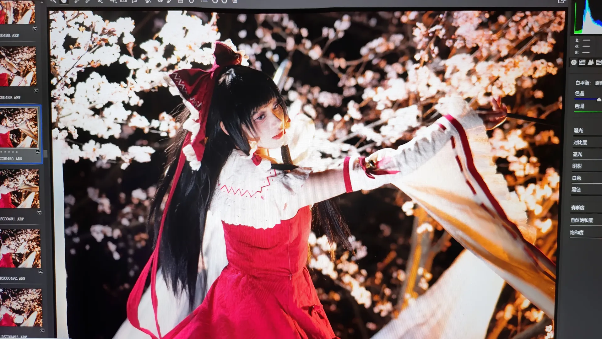 【Reimu Hakurei Cosplay】Night cherry blossom photography Until Nearly Midnight: Notes on Driving Home - Image 4