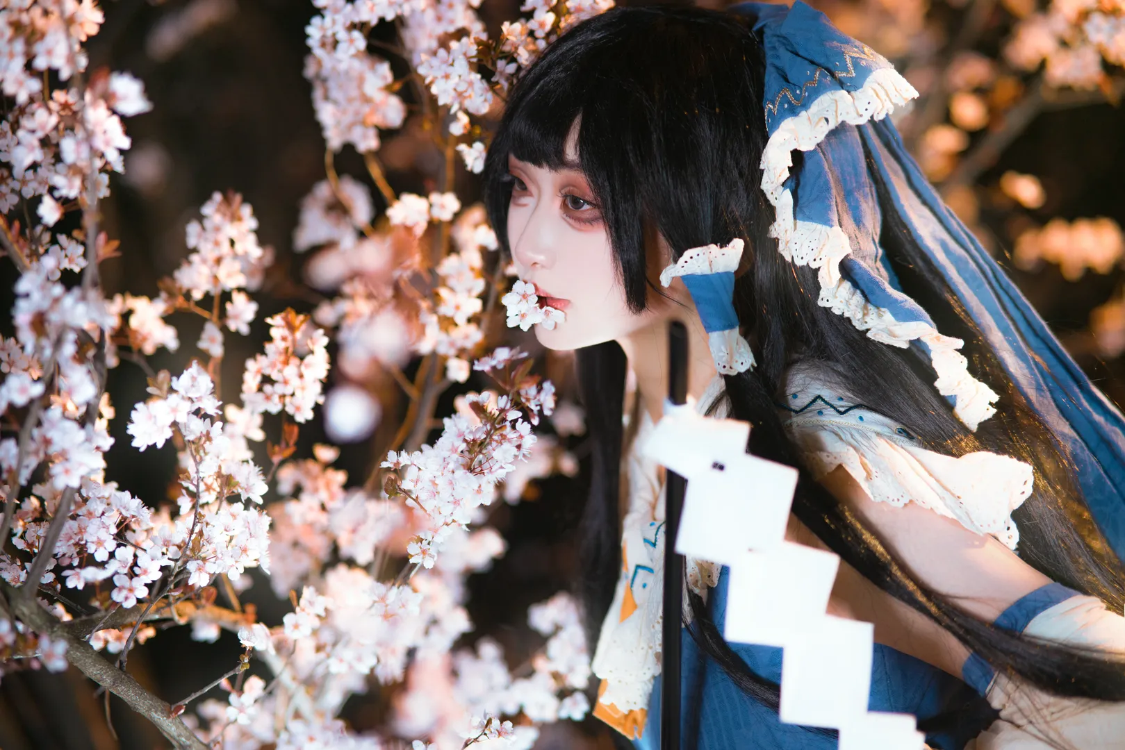 【博丽灵梦cos】夜樱下的青灵梦，东方二设的静谧表达 - 第 2 张