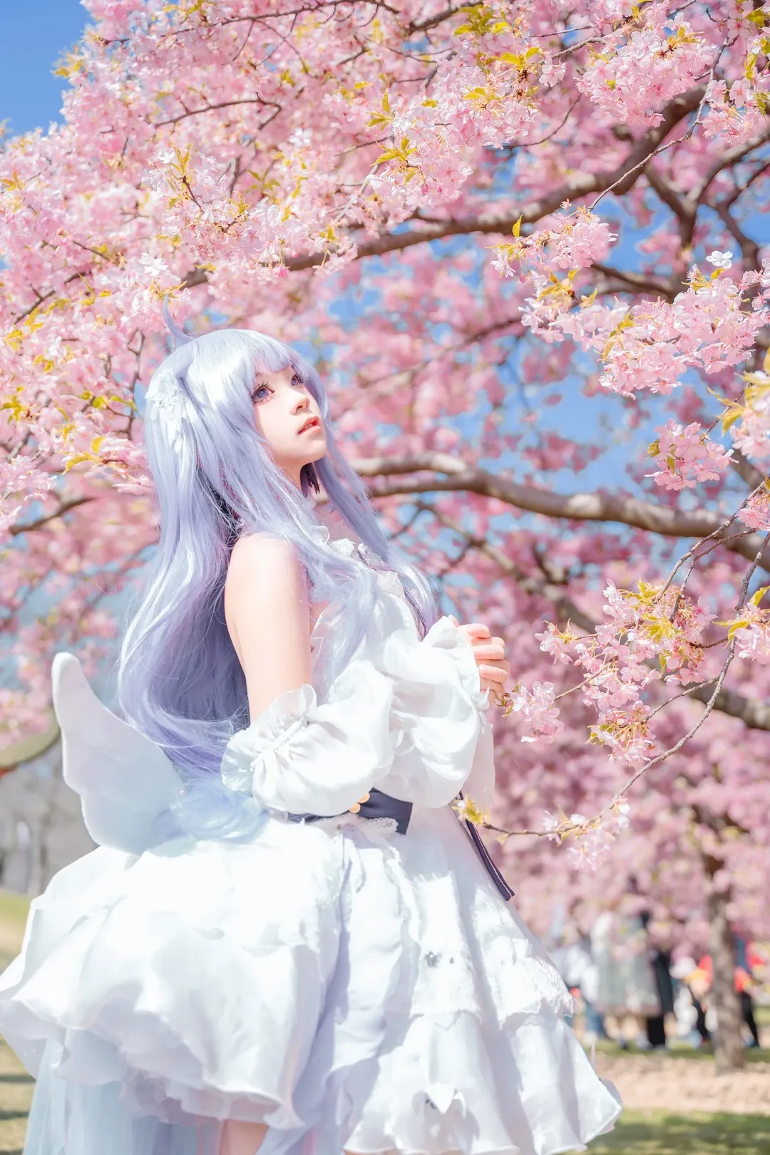 【独角兽cos】碧蓝航线，在樱花树林里留下这一季的美好 - 第 6 张