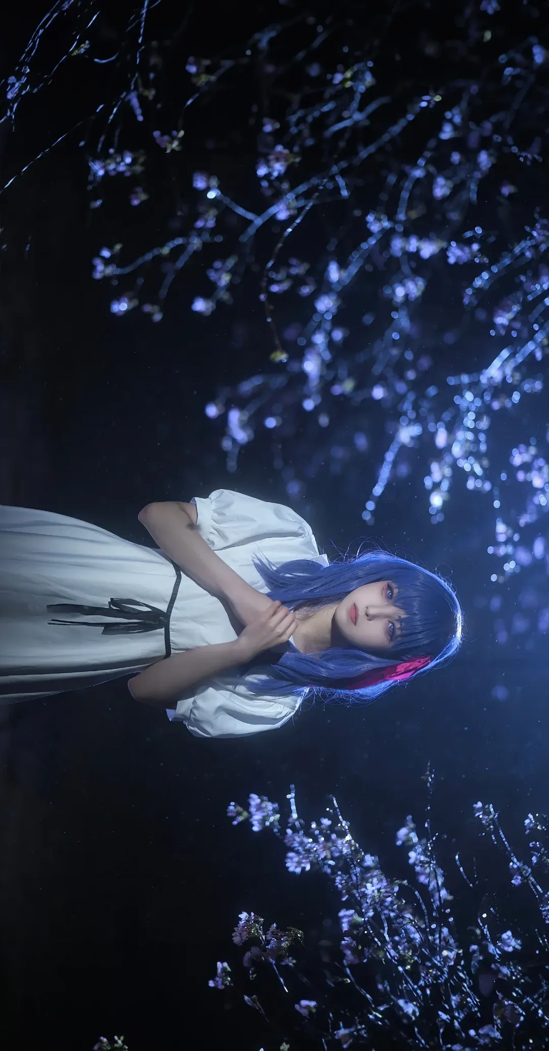 【间桐樱cos】夜色樱雨中的幽静氛围