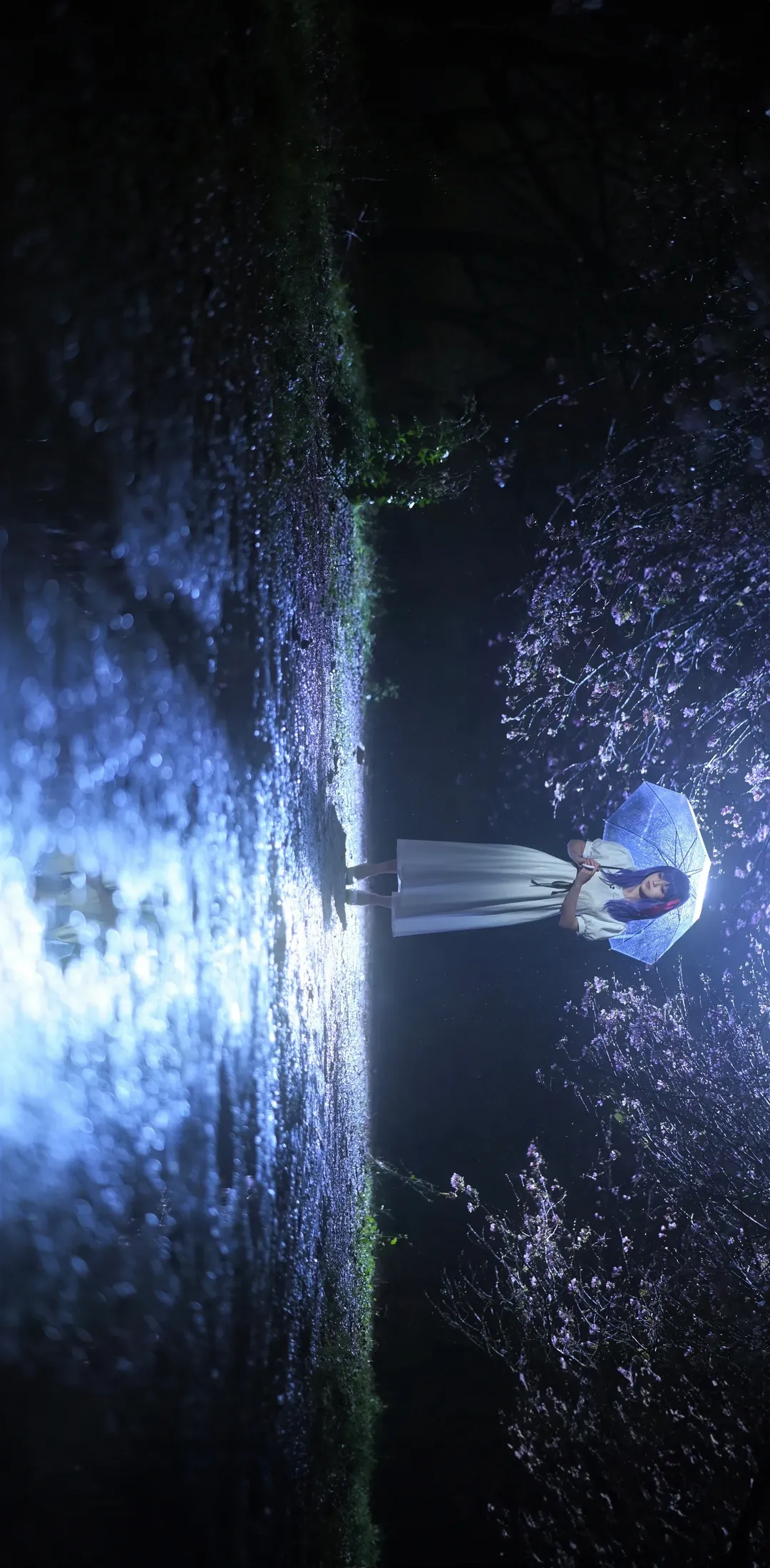 【间桐樱cos】夜色樱雨中的幽静氛围 - 第 4 张