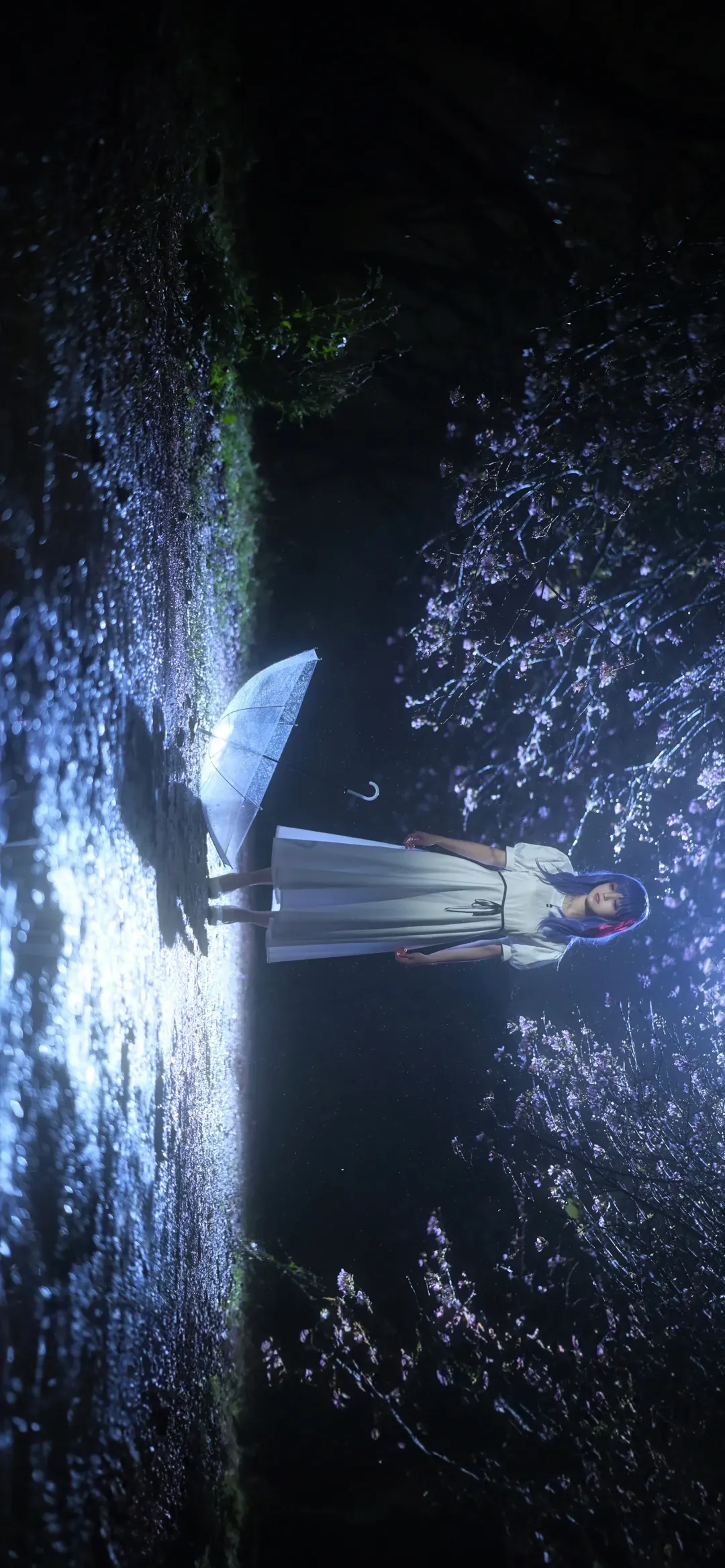 【间桐樱cos】夜色樱雨中的幽静氛围 - 第 5 张