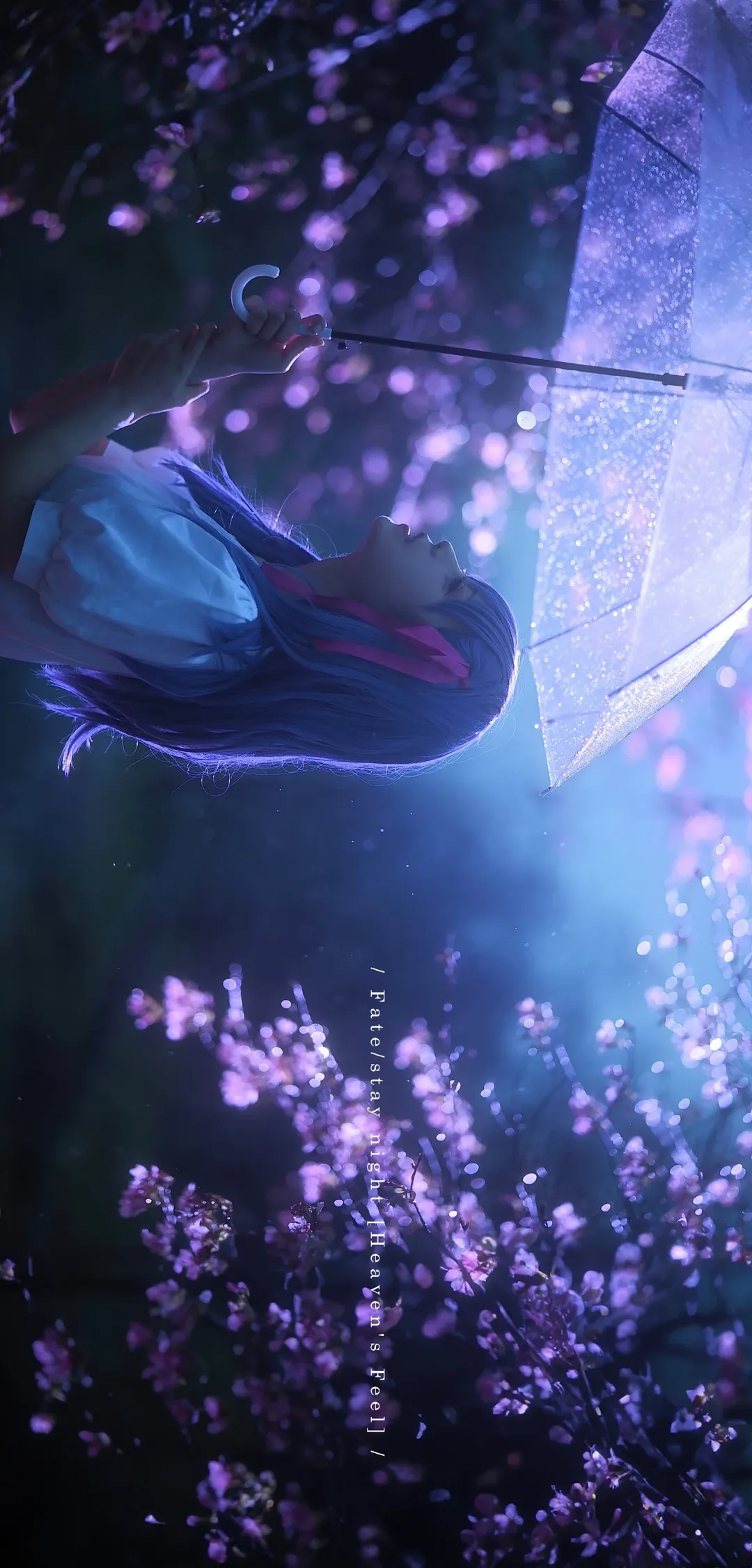 【间桐樱cos】夜色樱雨中的幽静氛围 - 第 6 张