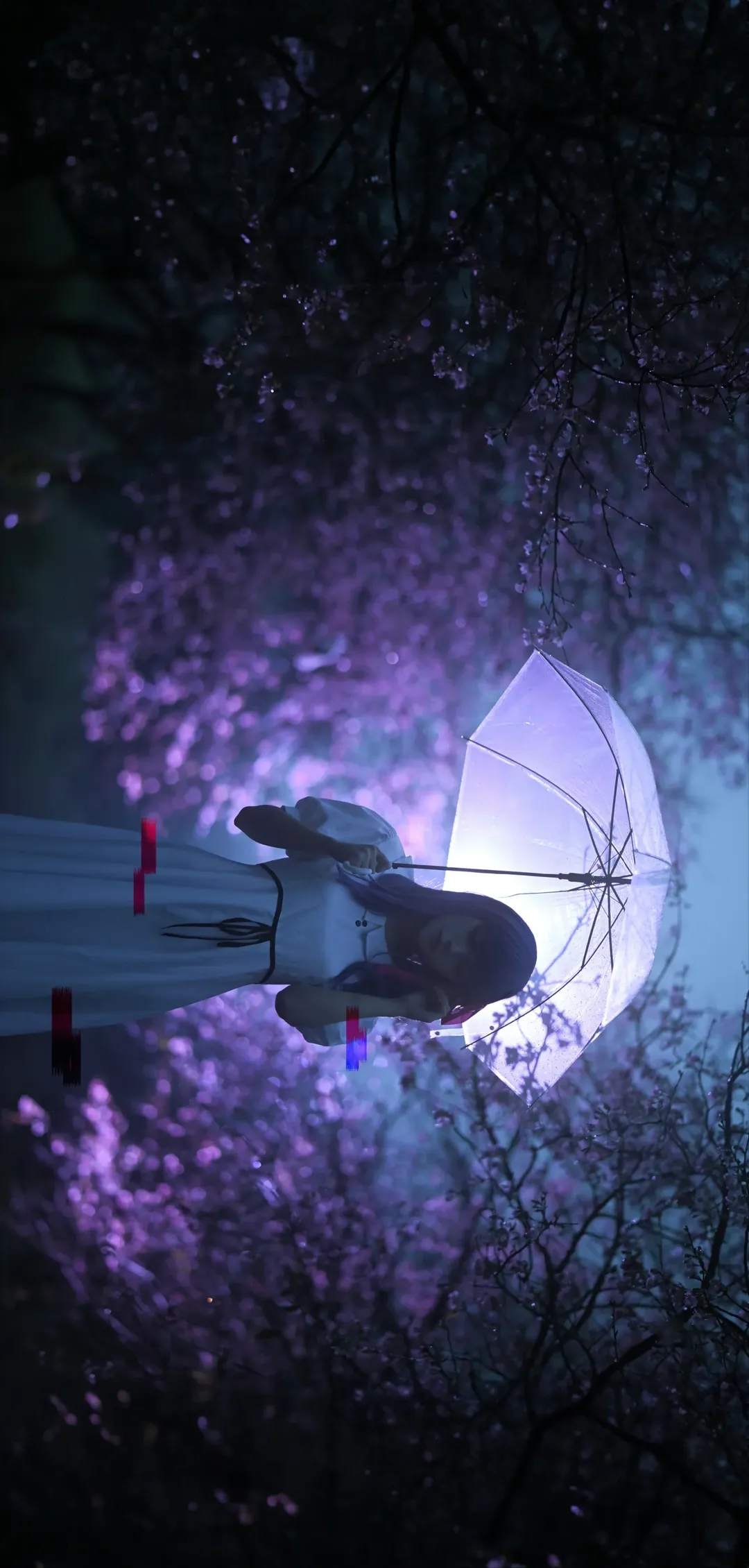 【间桐樱cos】夜色樱雨中的幽静氛围 - 第 7 张