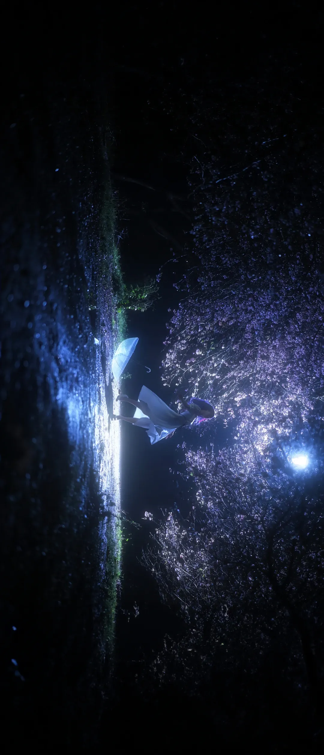【间桐樱cos】夜色樱雨中的幽静氛围 - 第 8 张