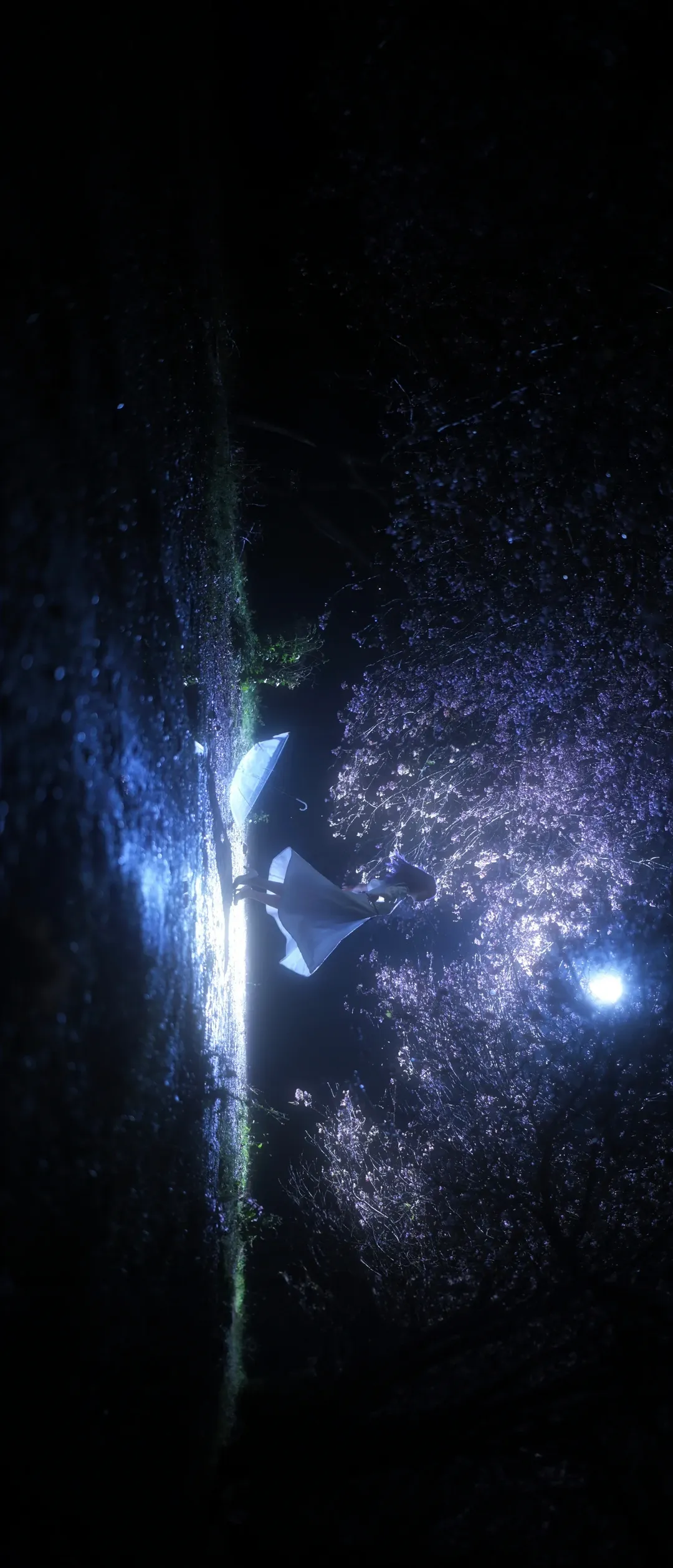 【间桐樱cos】夜色樱雨中的幽静氛围 - 第 9 张