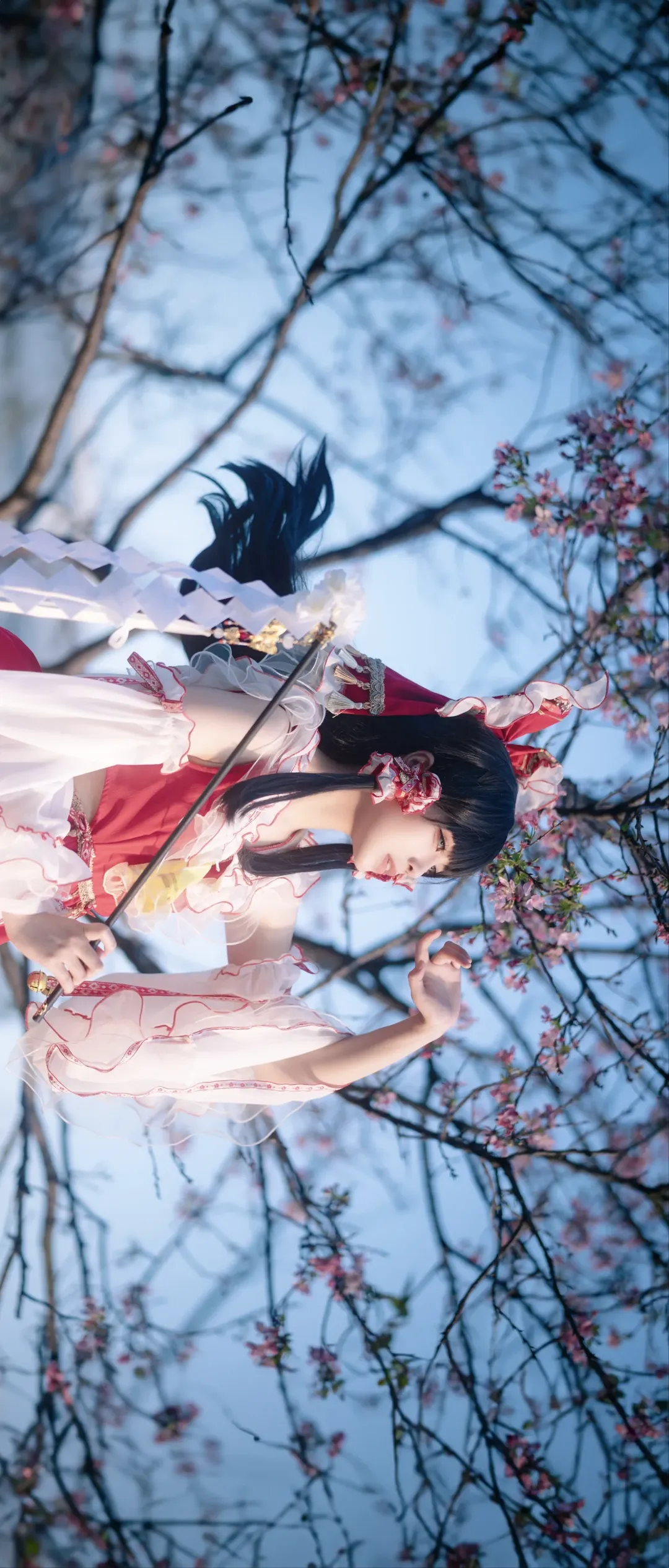 【博丽灵梦cos】东方project夜樱花下的巫女 - 第 1 张