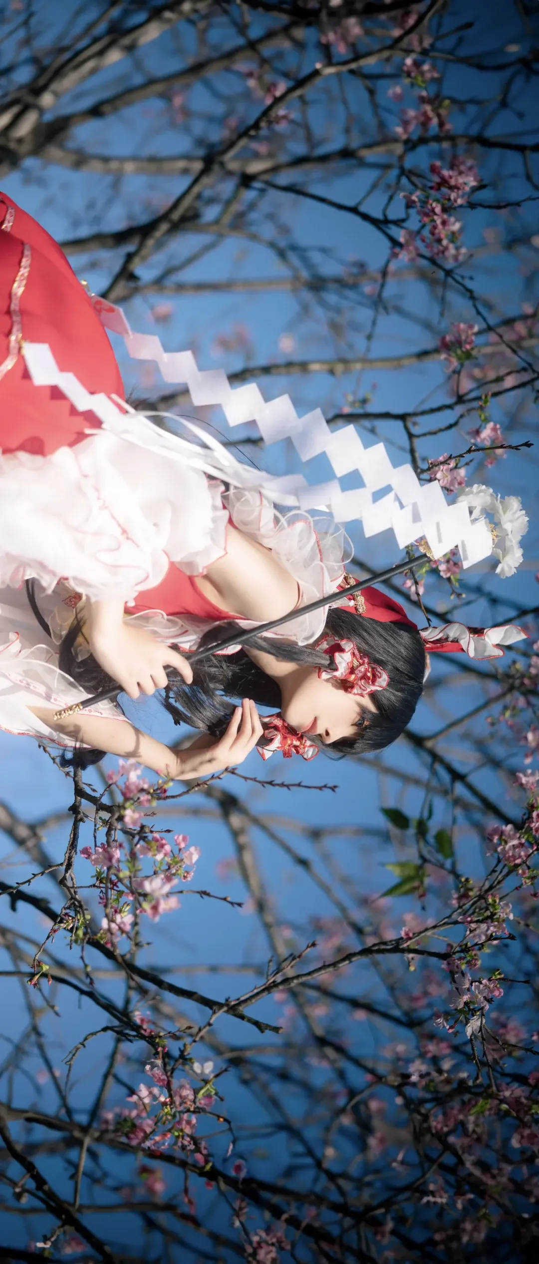 【博丽灵梦cos】东方project夜樱花下的巫女 - 第 2 张
